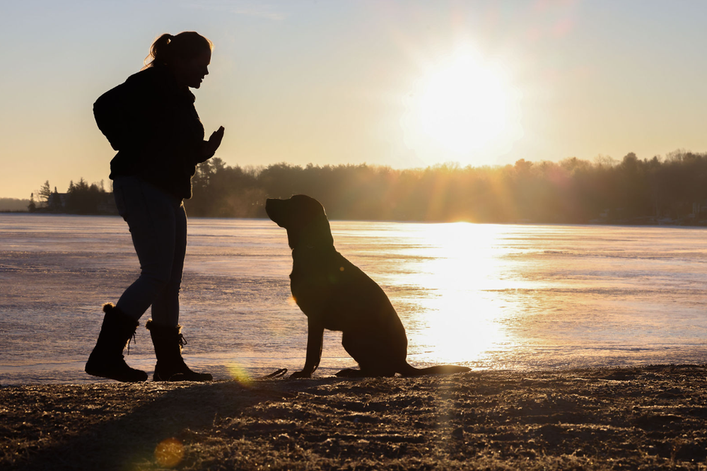 Training — Little Traverse Bay Humane Society