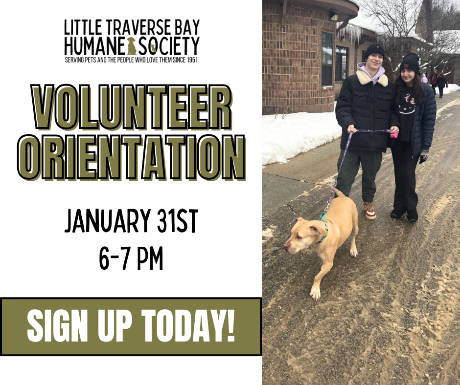 Volunteer Orientation