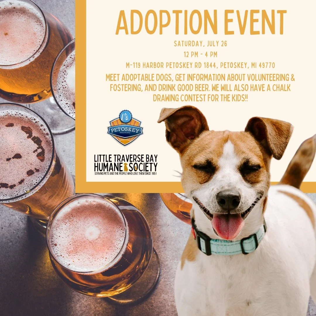 Petoskey Brewing Adoption Event