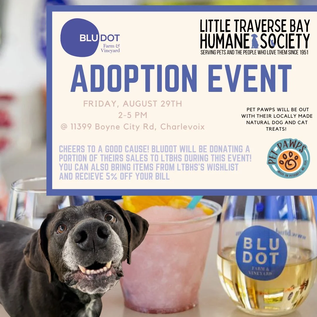 Sip & Support @ Blu Dot Winery
