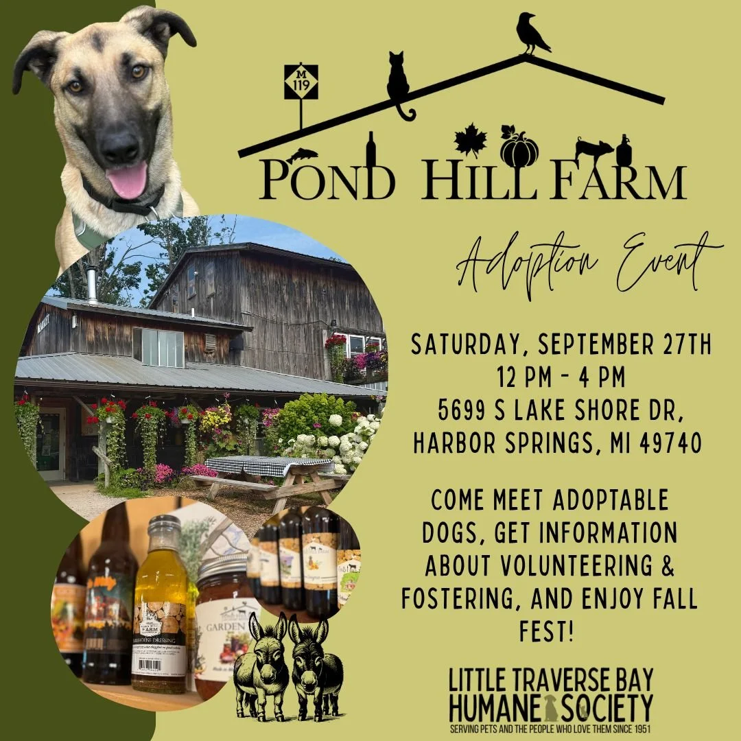 Adoption Event @ Pond Hill Farm