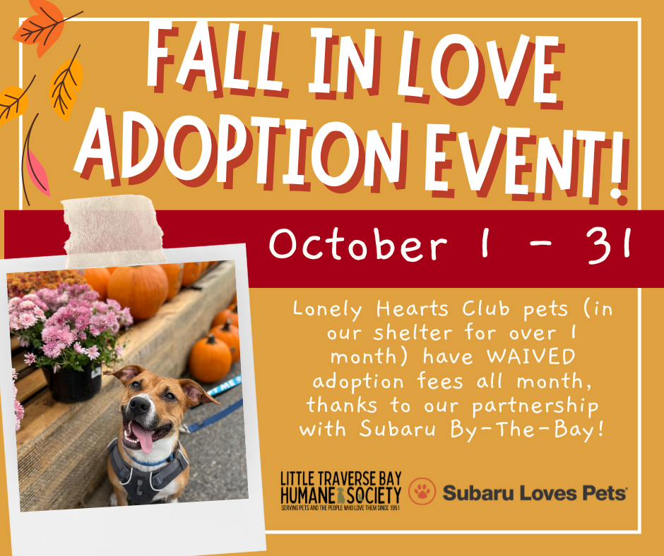 Fall In Love Adoption Event