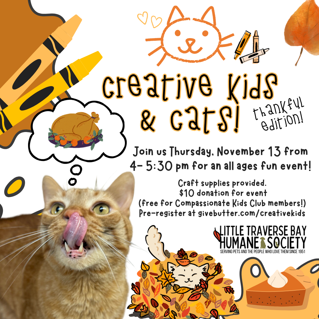 Creative Kids & Cats