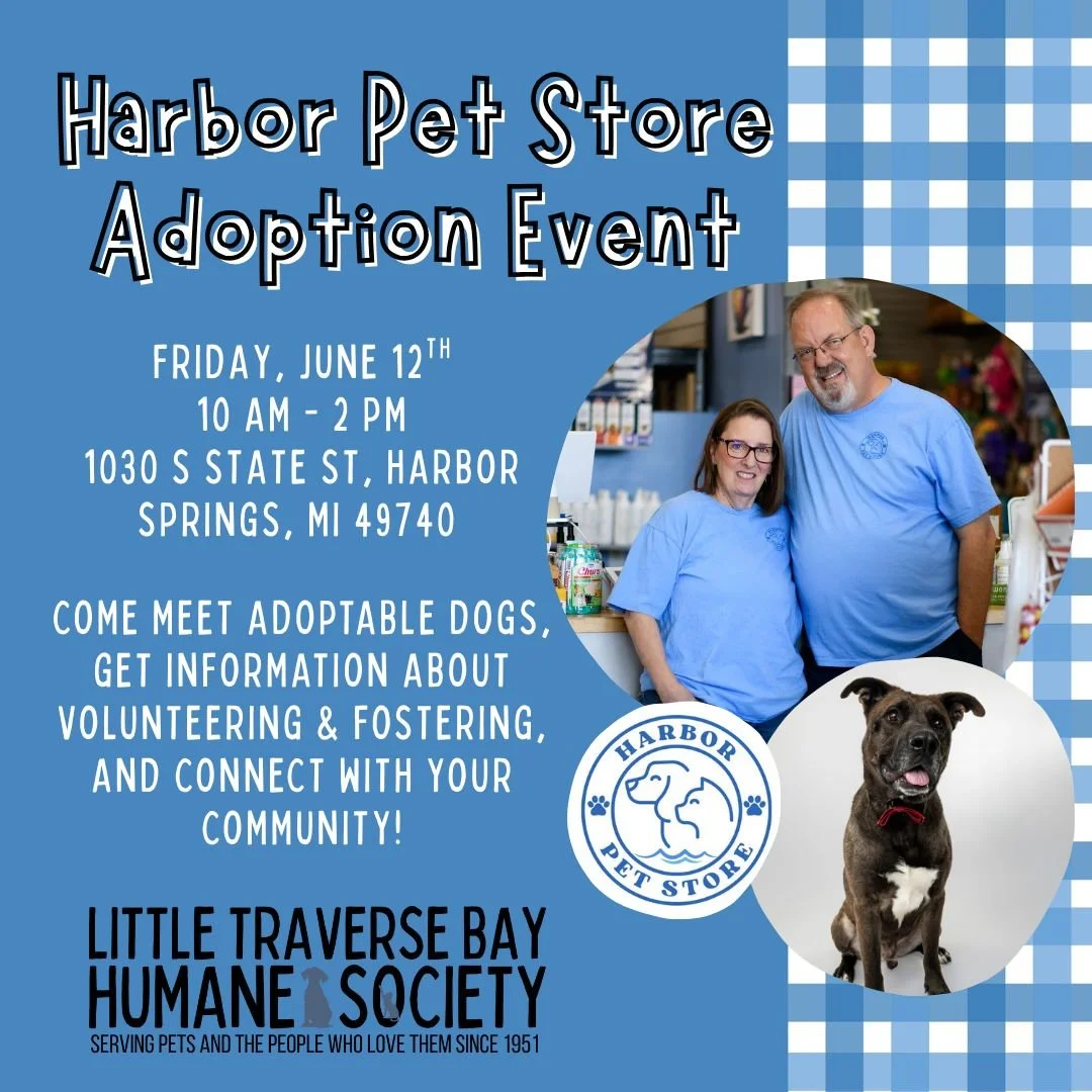 Harbor Pet Store Adoption Event
