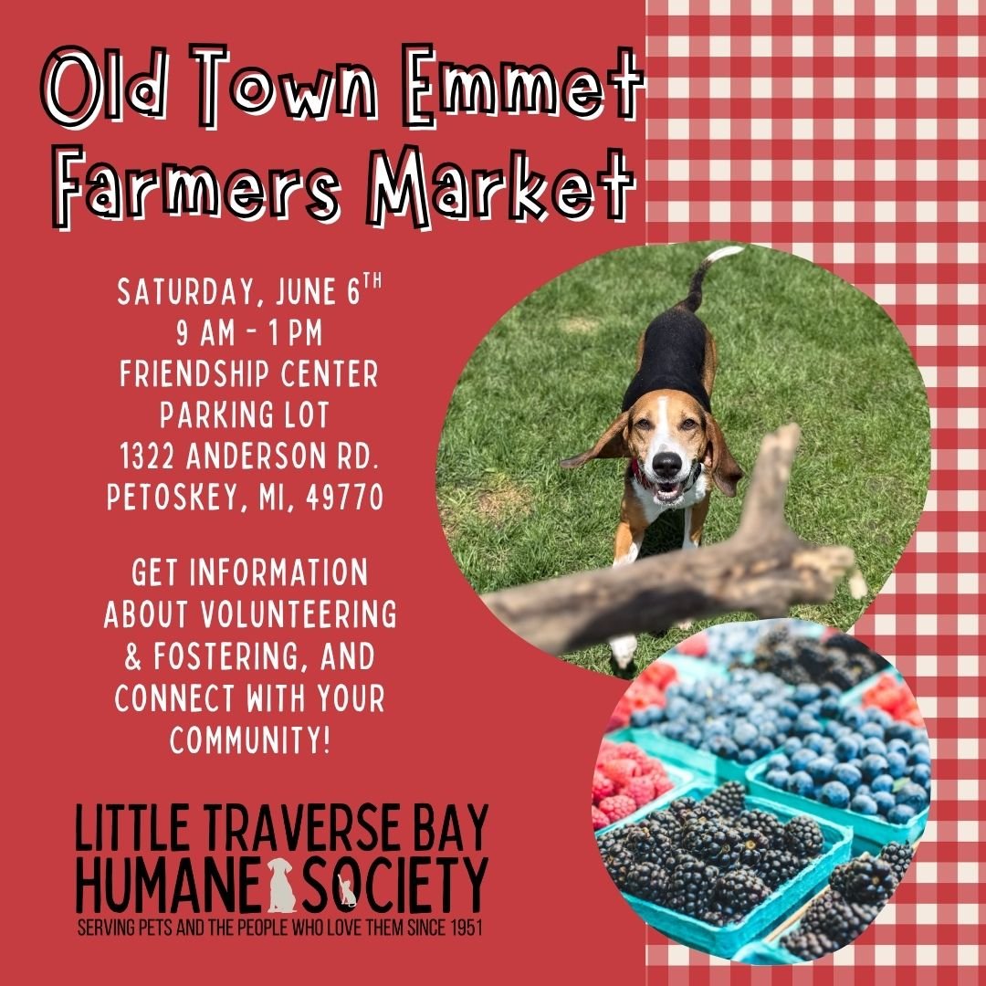 Old Town Emmet Farm Market