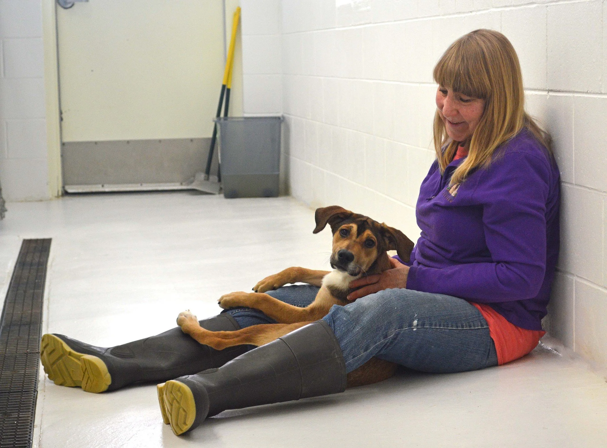 Little Traverse Bay Humane Society Now Offering Professional Dog Training Services