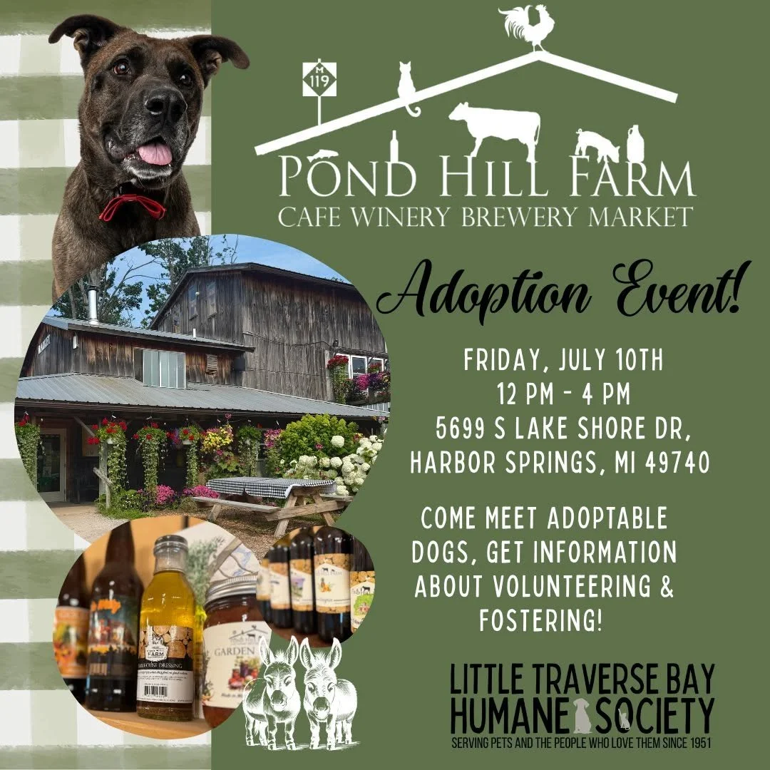 Pond Hill Farm Adoption Event