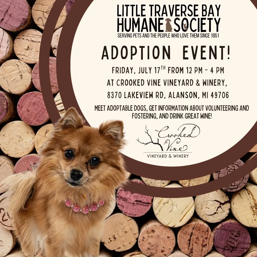 Crooked Vine & Vineyard Adoption Event