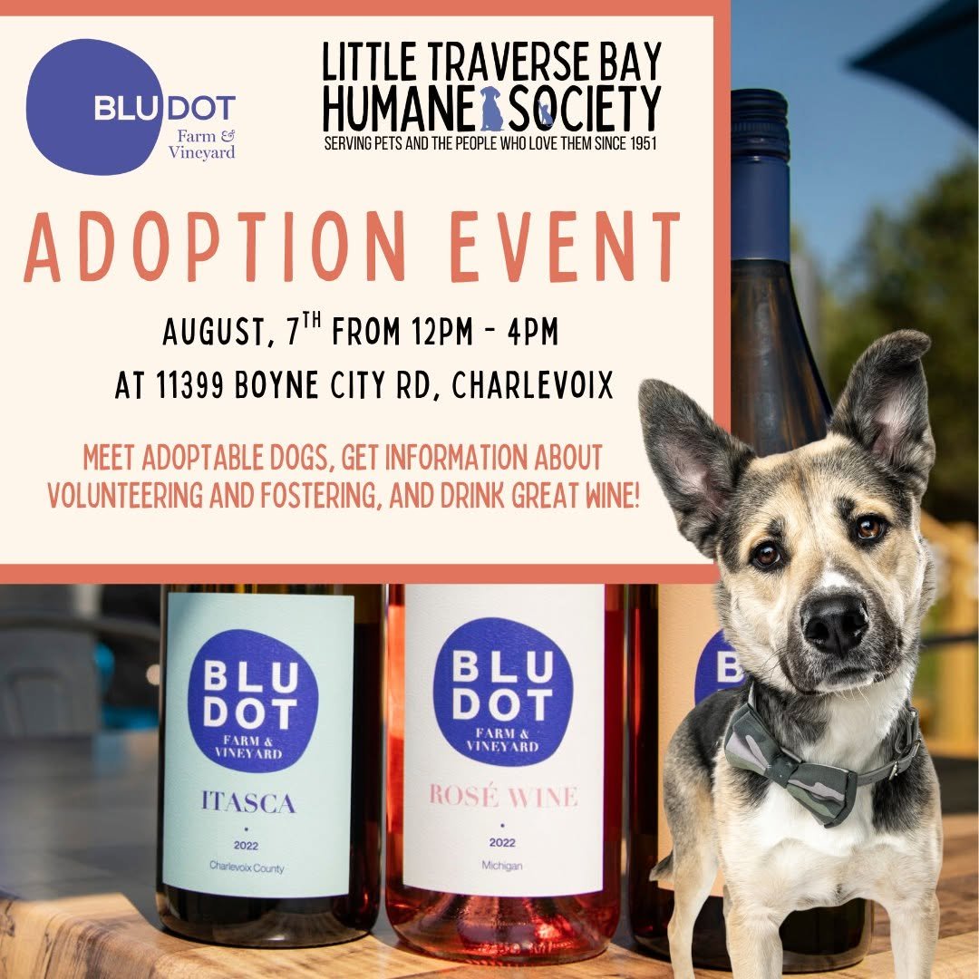 Blu Dot Adoption Event