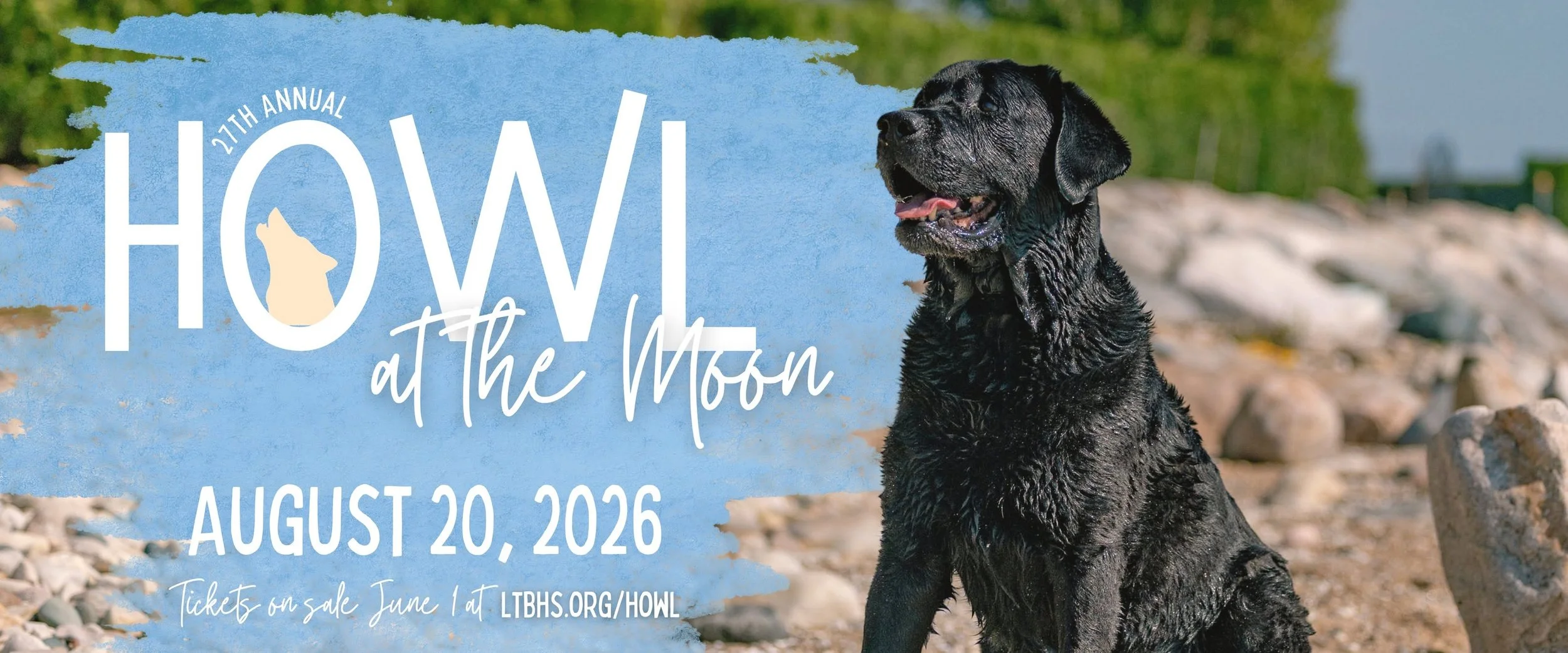 Howl at the Moon
