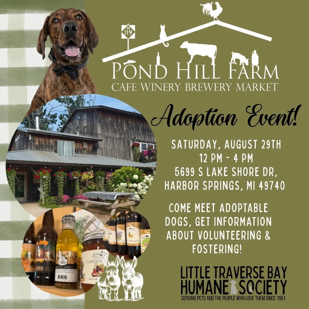 Pond Hill Farm adoption Event