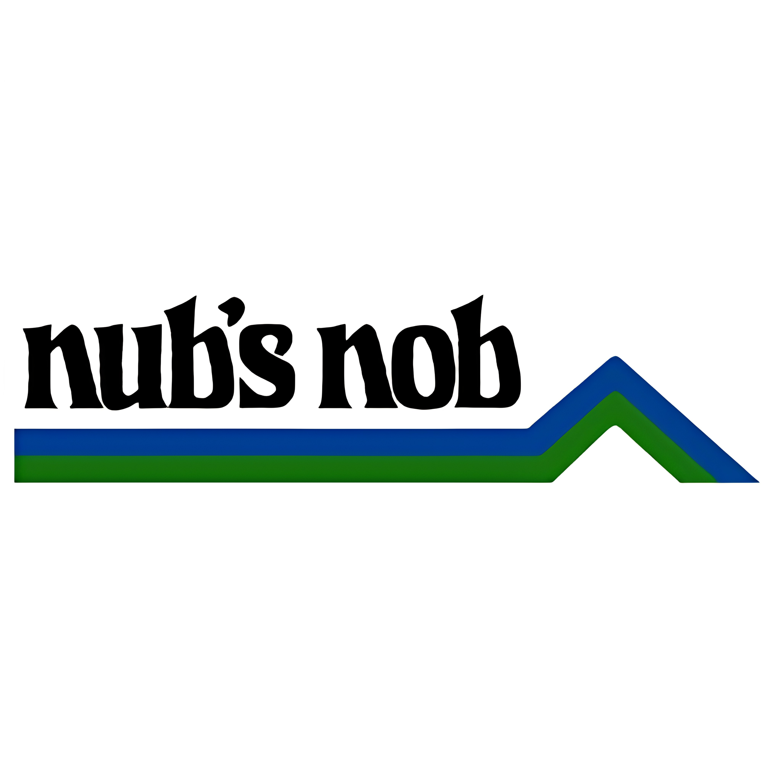 Putts Sponsors 2026.png