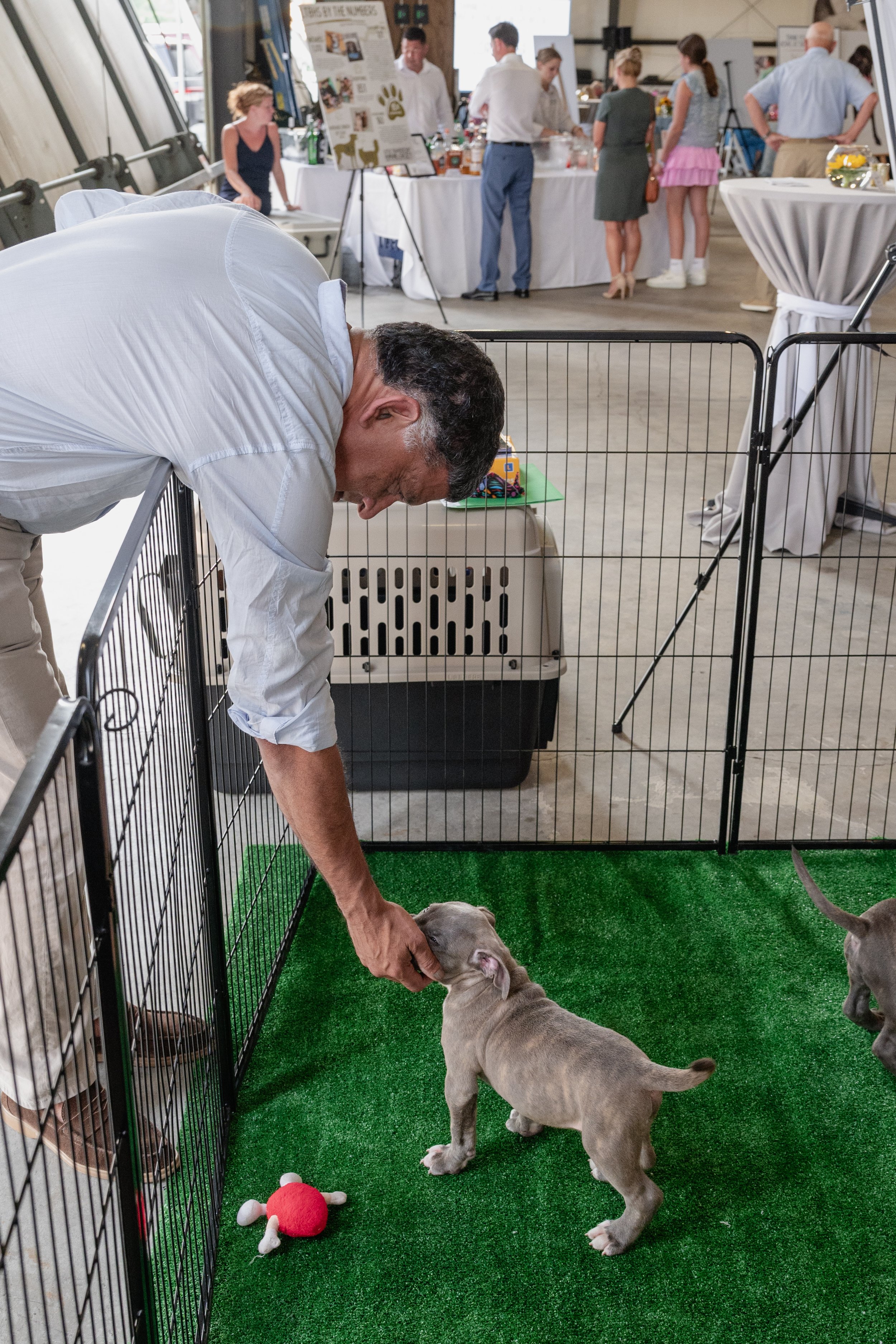 HUMANE SOCIETY EDITS-0303.jpg