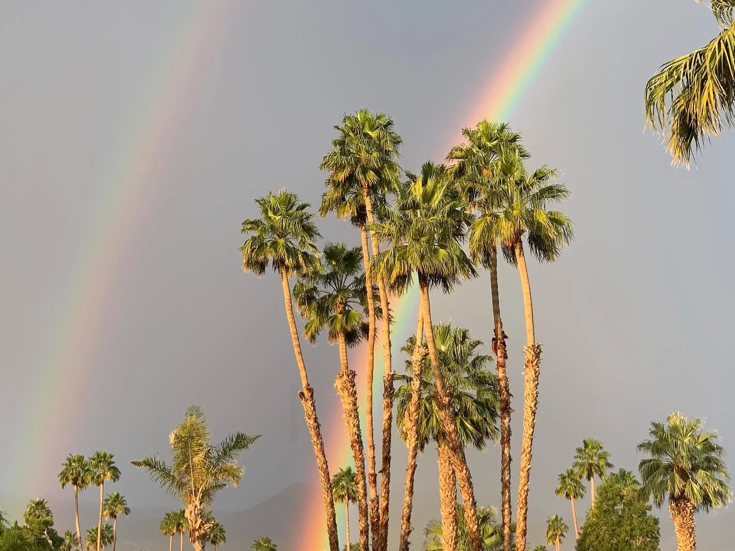 A double rainbow magic rainy morning 😀