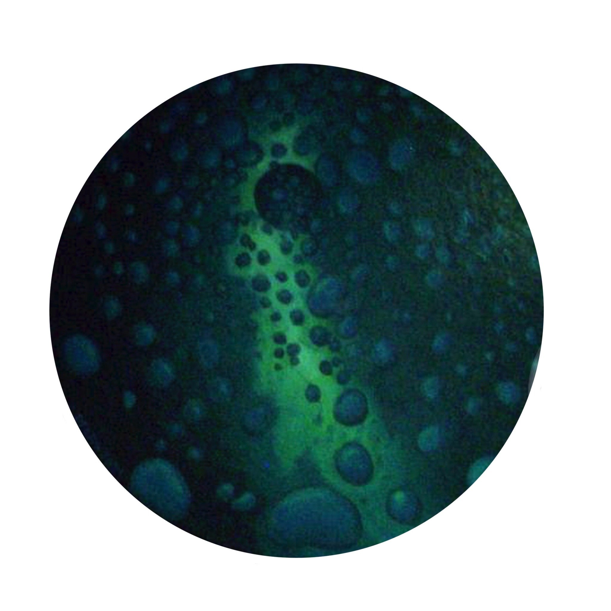 Punto de Partida
Burbujas, 2007.
Acrylic on canvas
25 cm diameter
