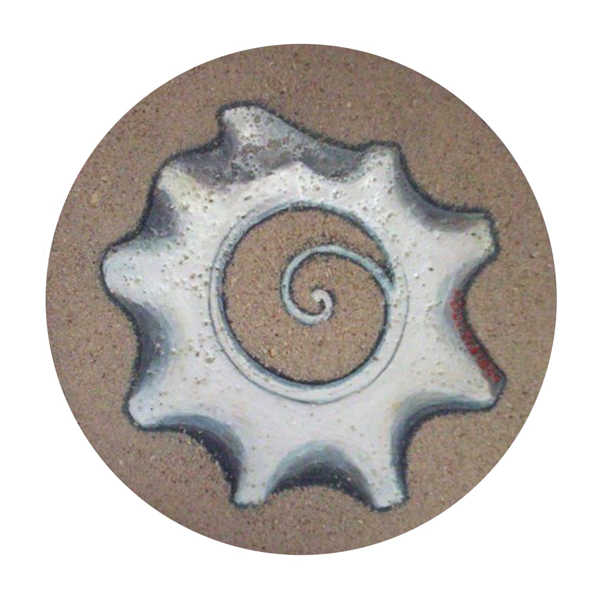 Punto de Partida
Caracol, 2007.
Acrylic & sand on canvas
15 cm diameter