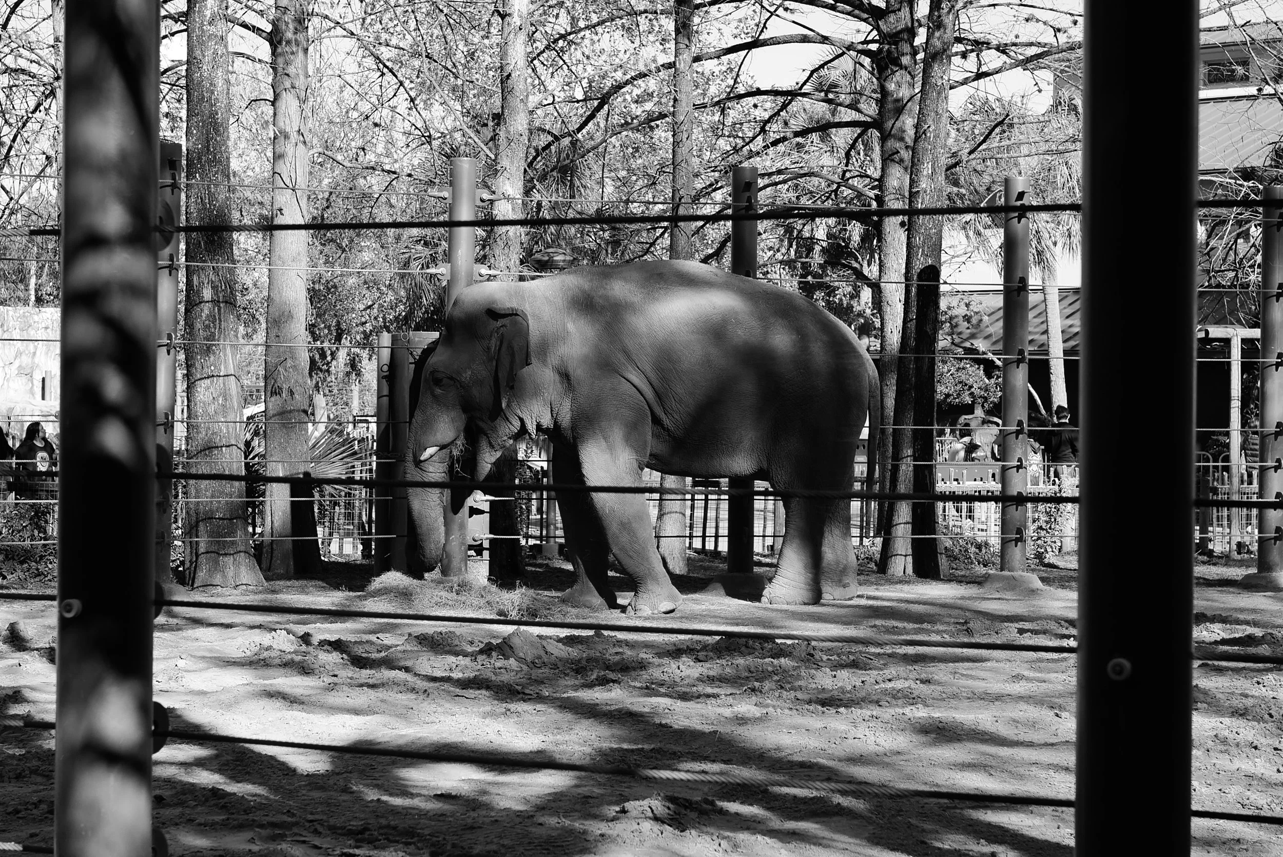 How Not to eat an elephant