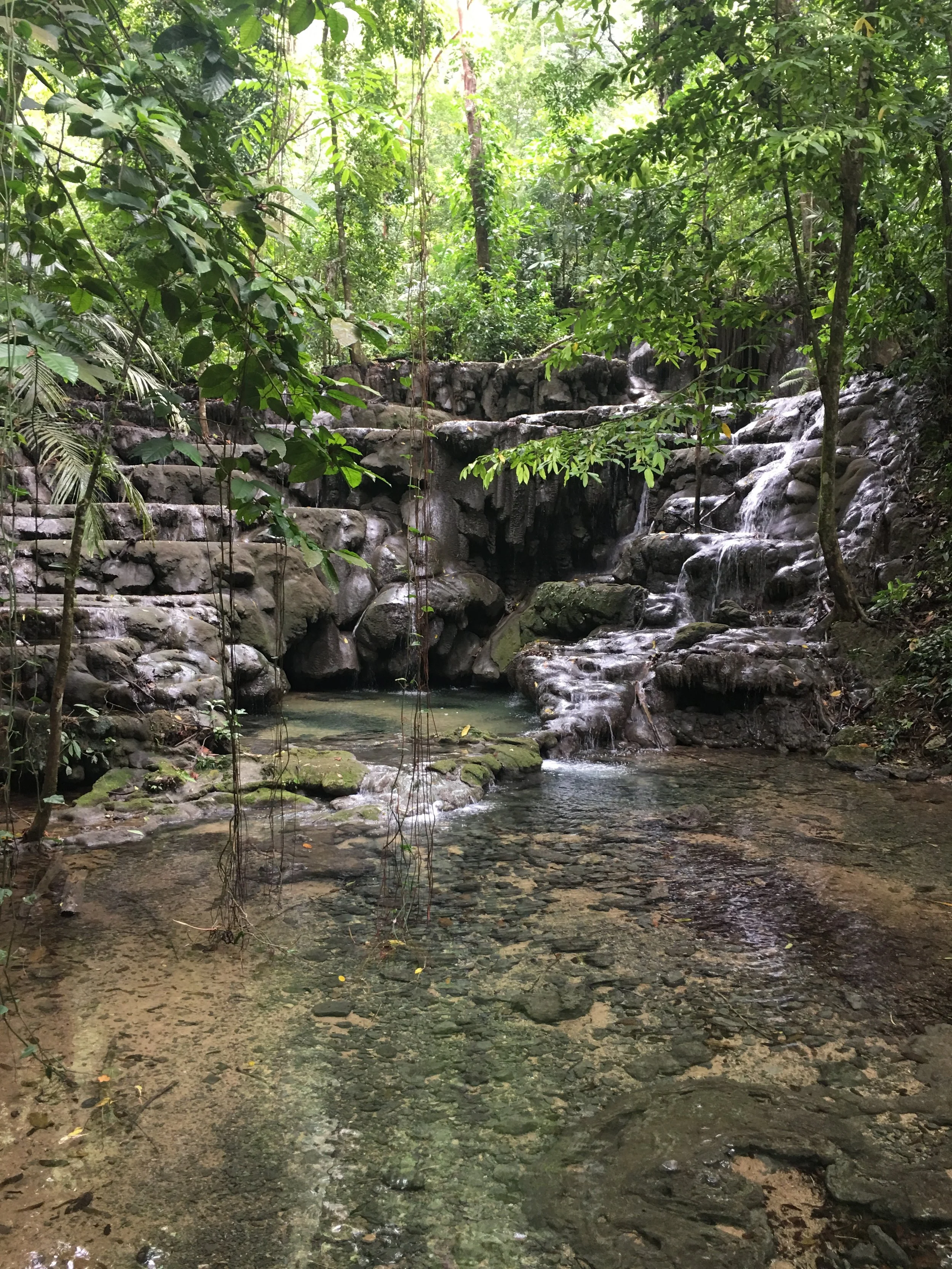 Chapter 1: How it started