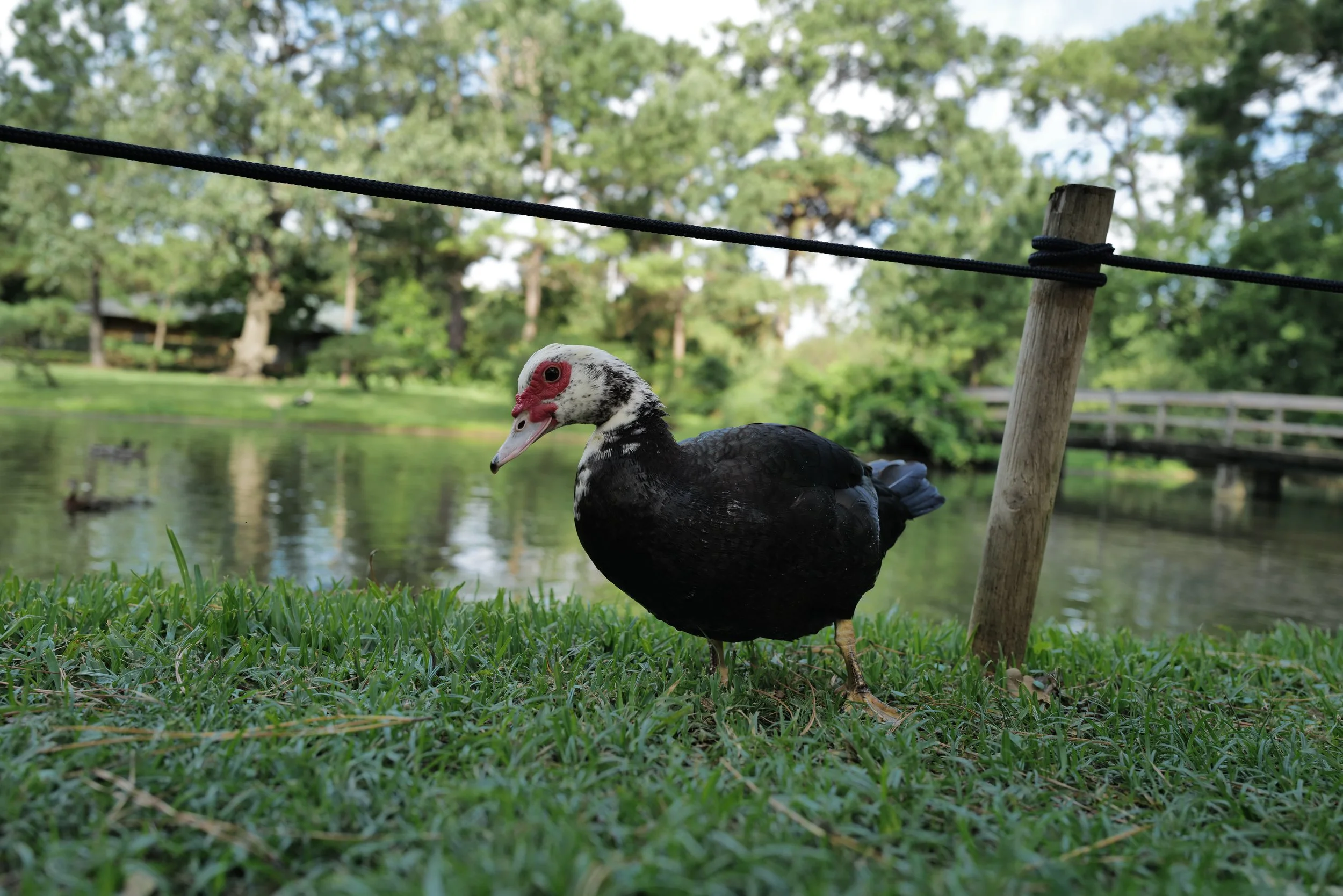 Don’t be a d_ _ k!