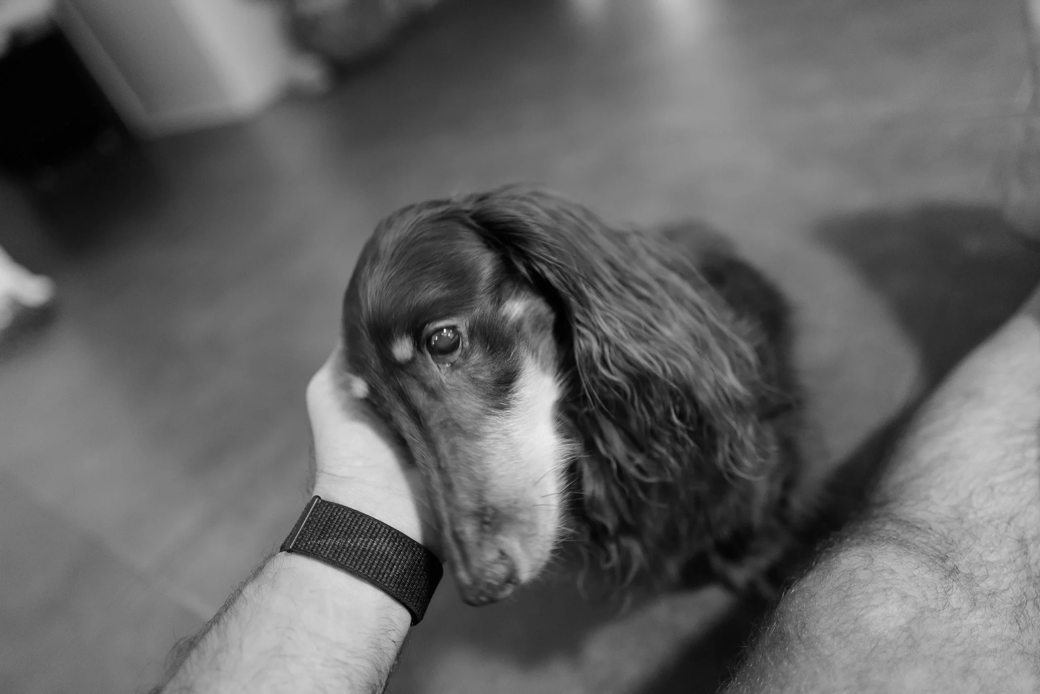 Chapter 6: Old Dogs