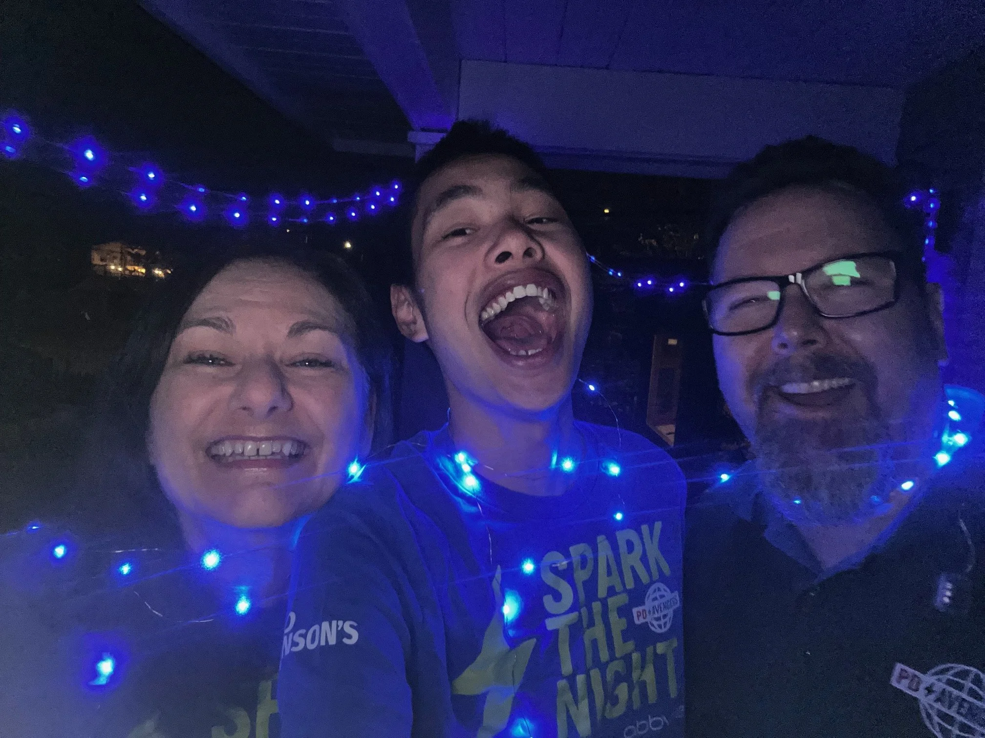 Gifford's Spark the Night