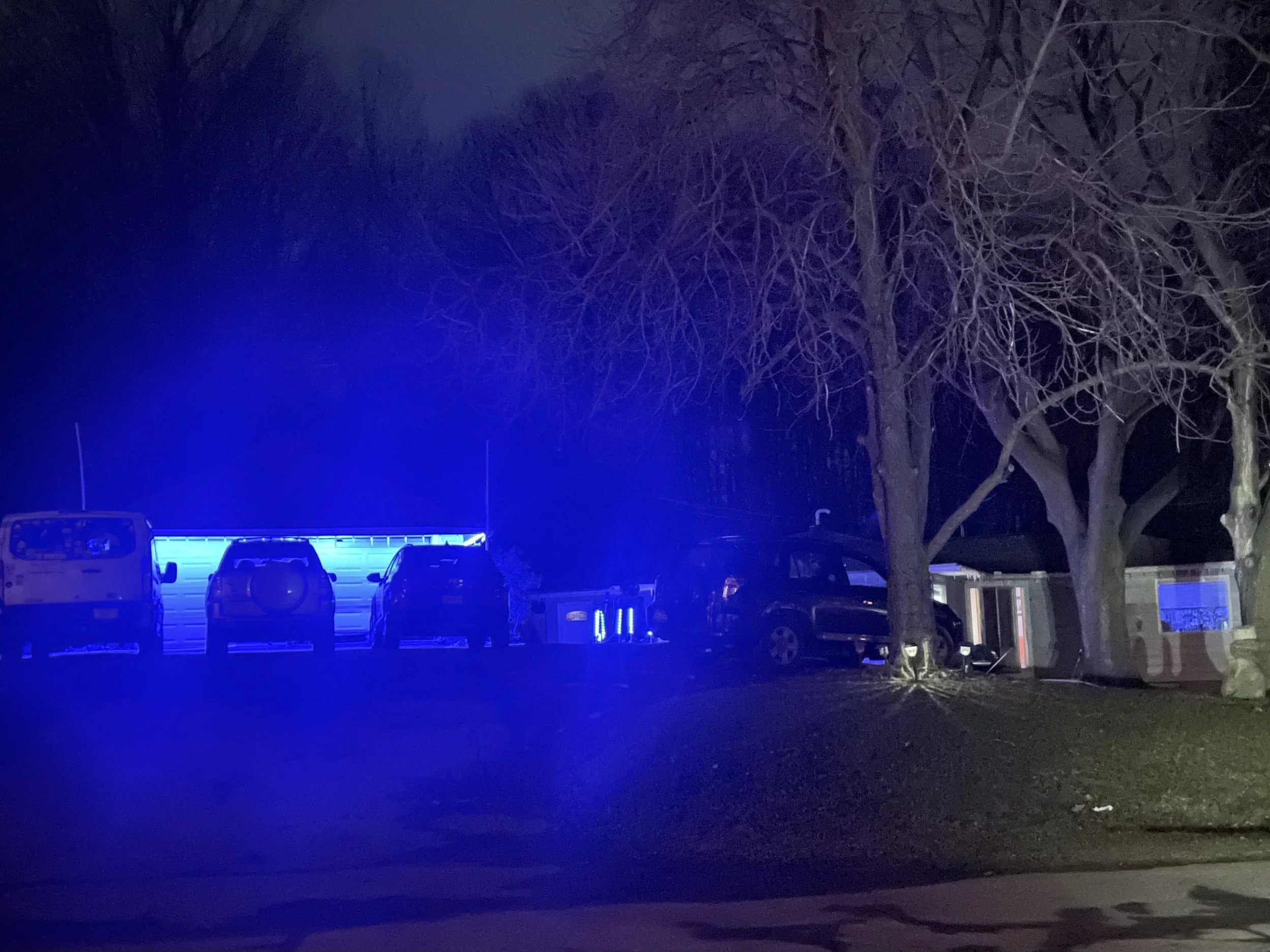 IMG 8838 2025-04-11.jpeg