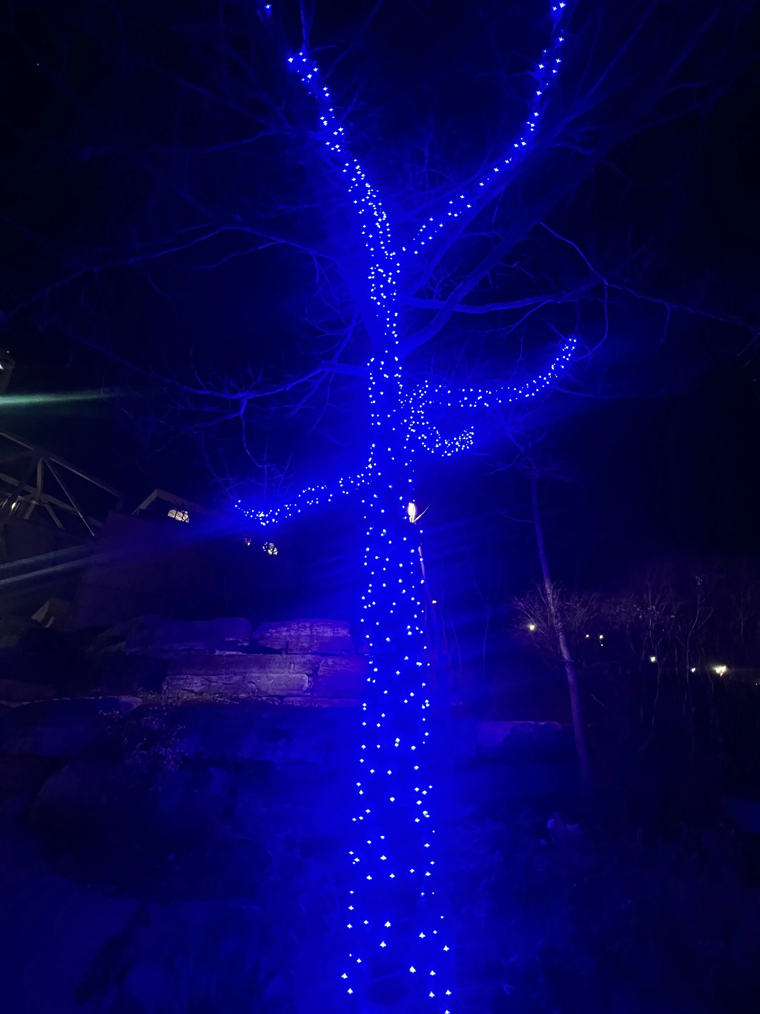 TREE!