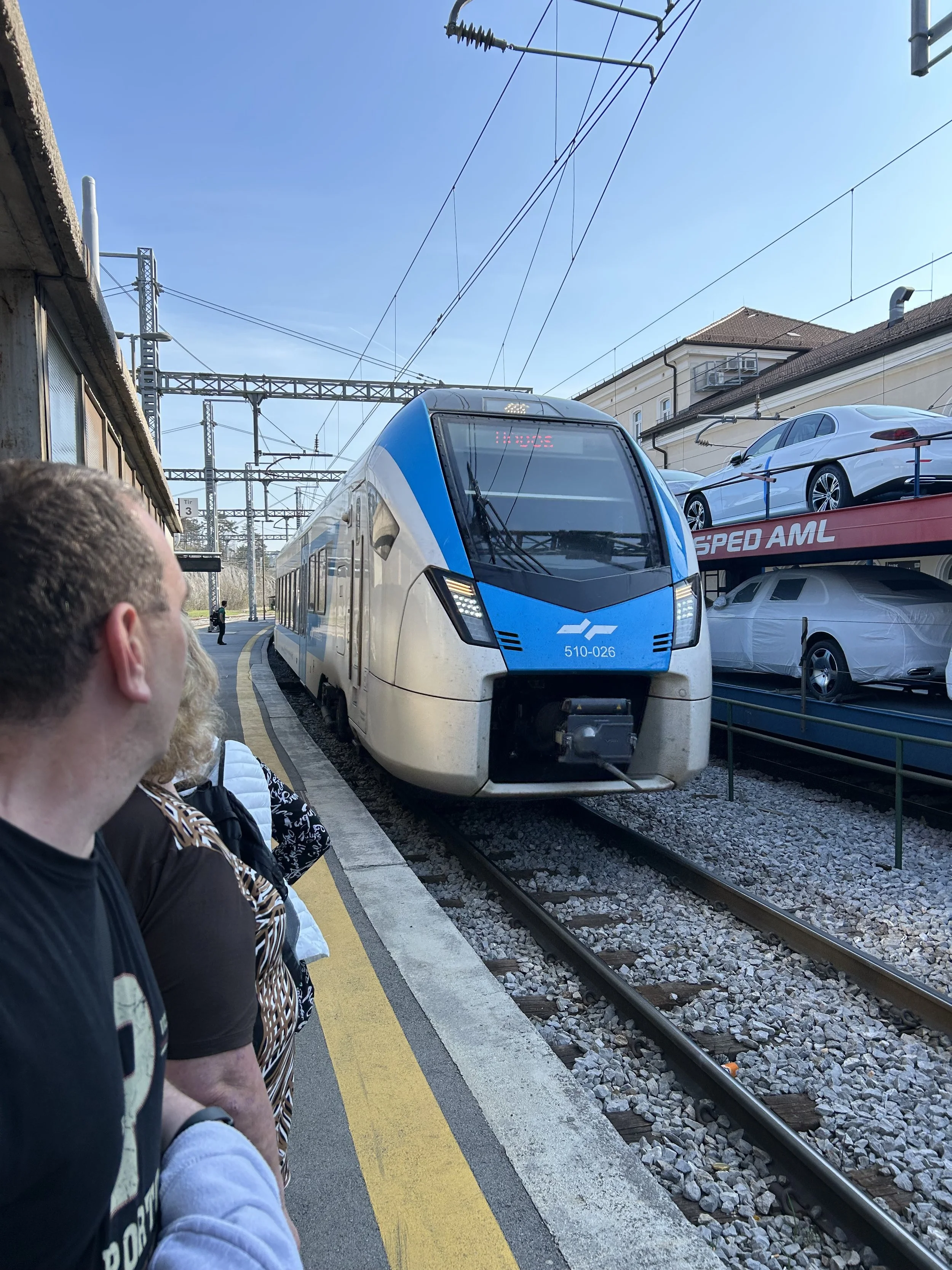 IMG 1746 2025-04-05.jpeg