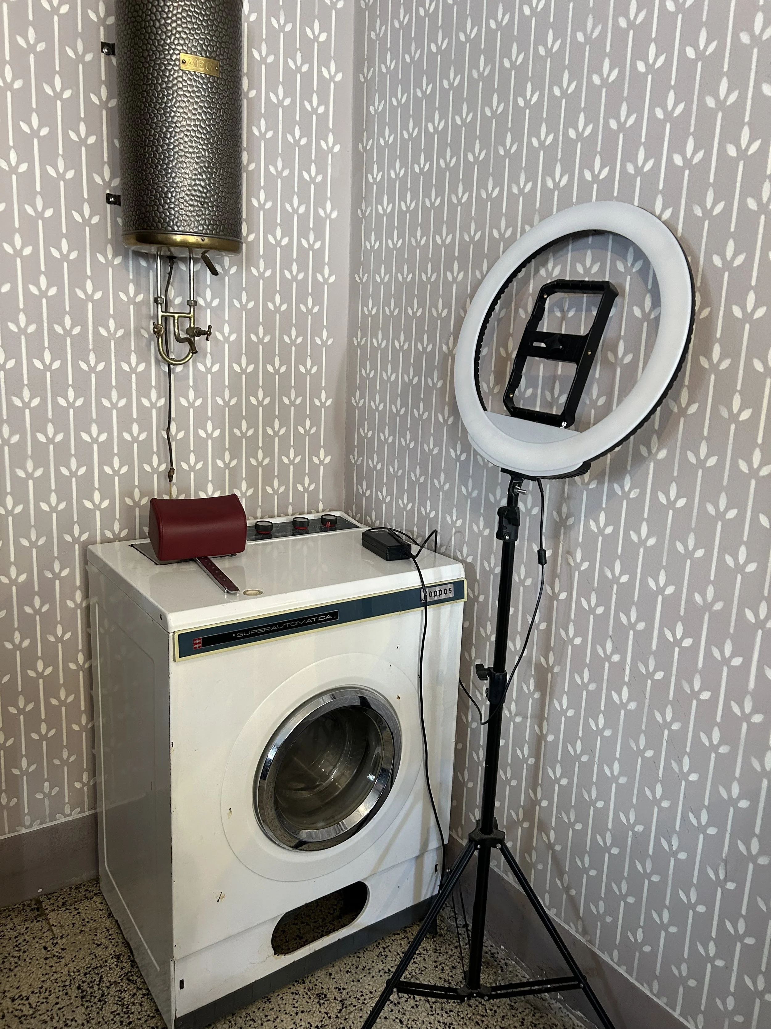 IMG 1735 2025-04-05.jpeg