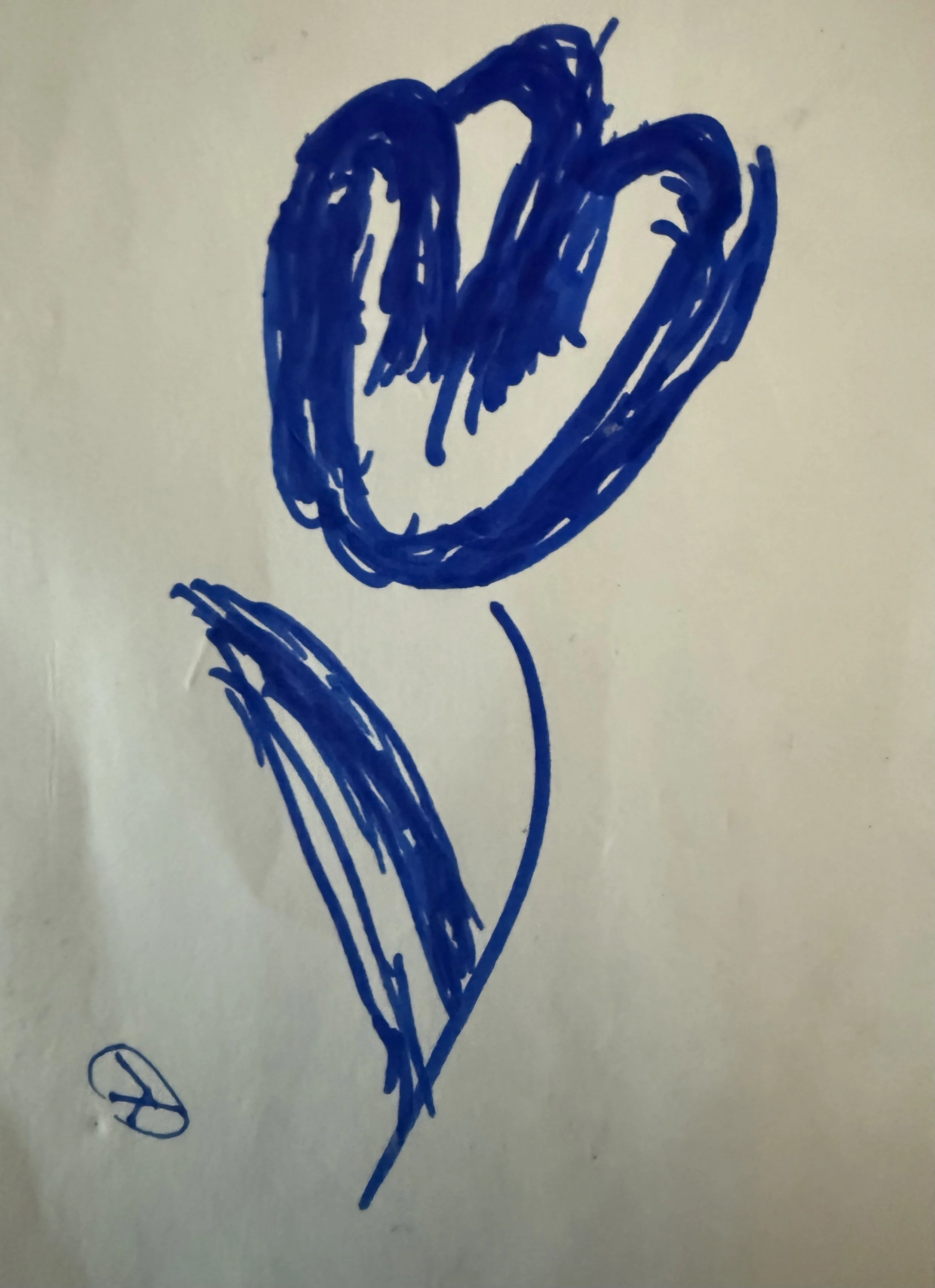 IMG_2475 Lori Maureen Phillips.jpeg