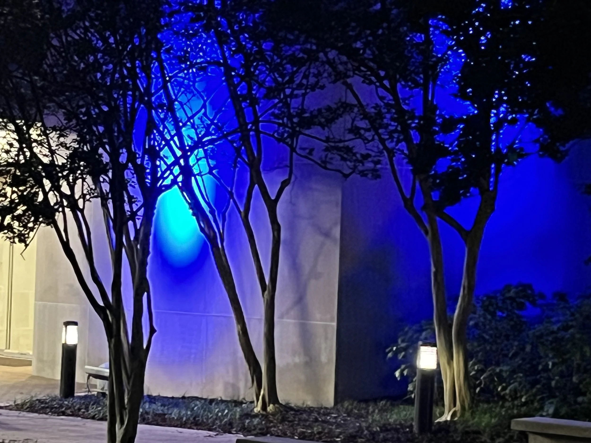 IMG 6475 2026-04-11.jpeg