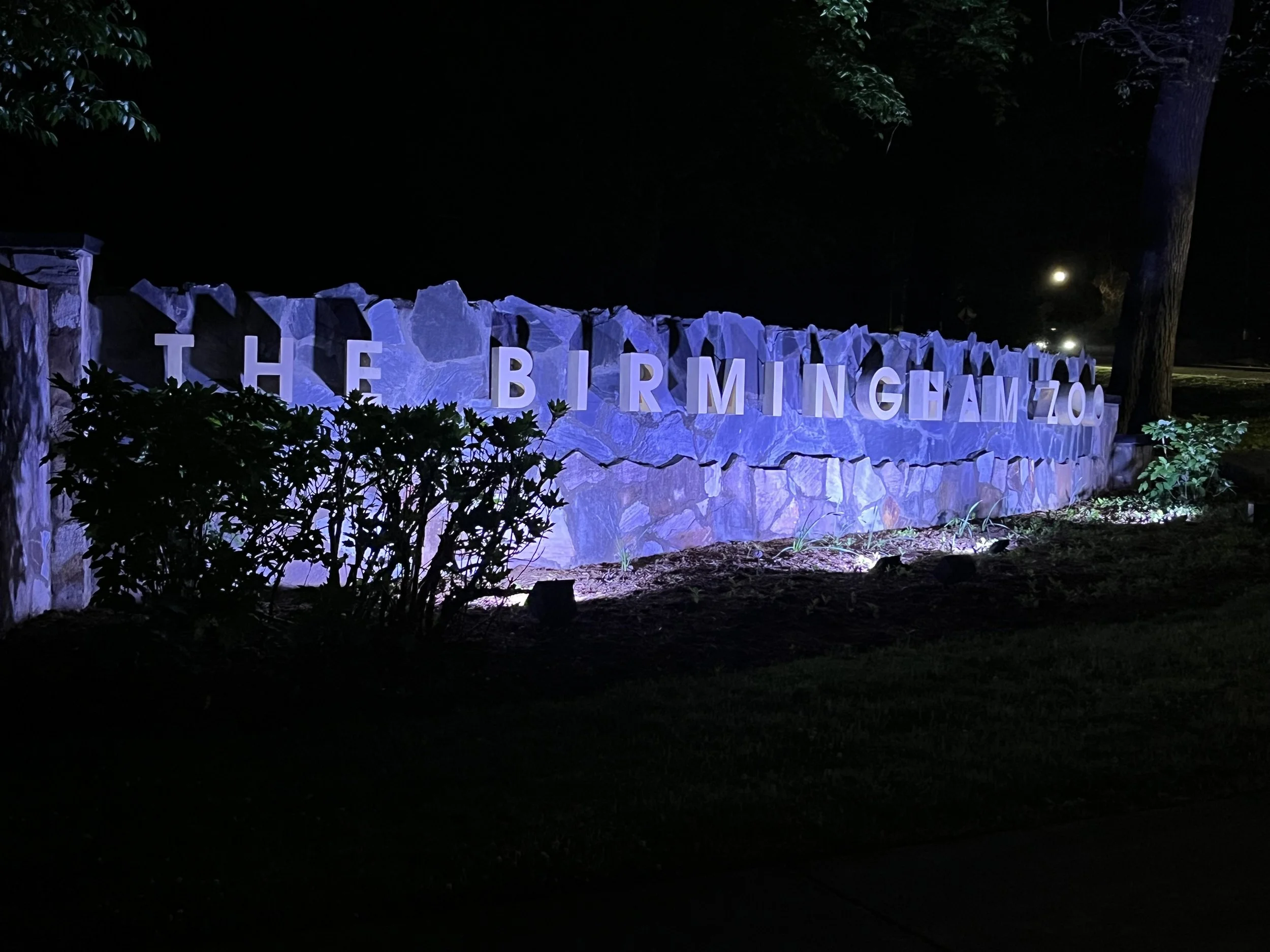 IMG 6480 2026-04-11.jpeg