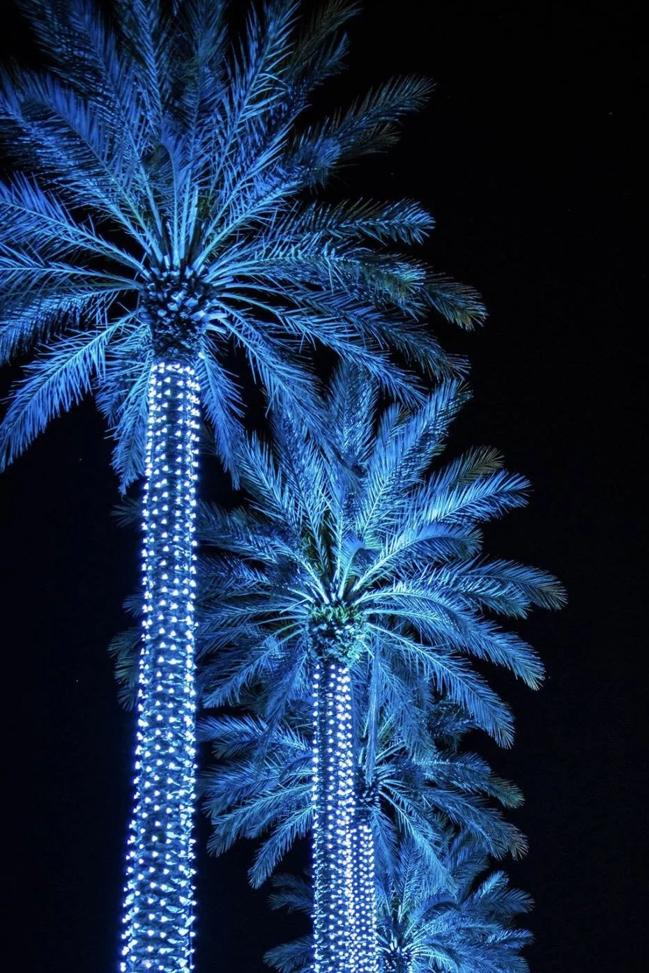 USA-AL-The Wharf-01 Ron Pinkerton.jpeg