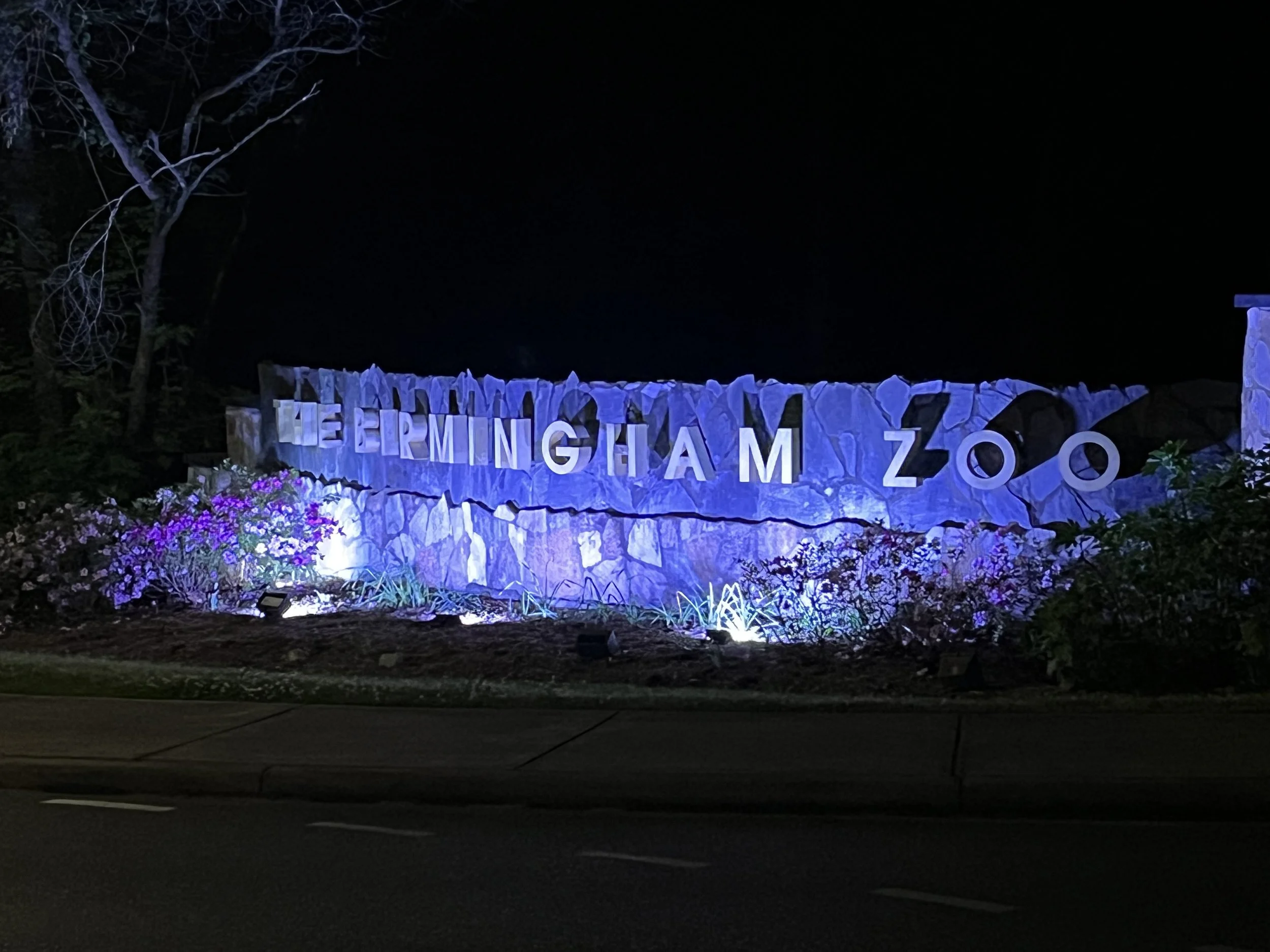 IMG 6481 2026-04-11.jpeg