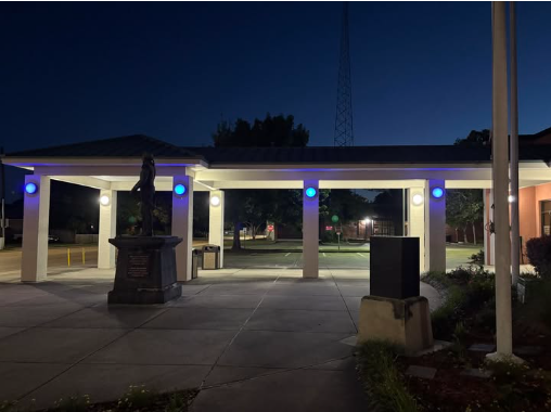 oLafayette Consolidated Gov for lighting up blue in support of *Spark the Night*