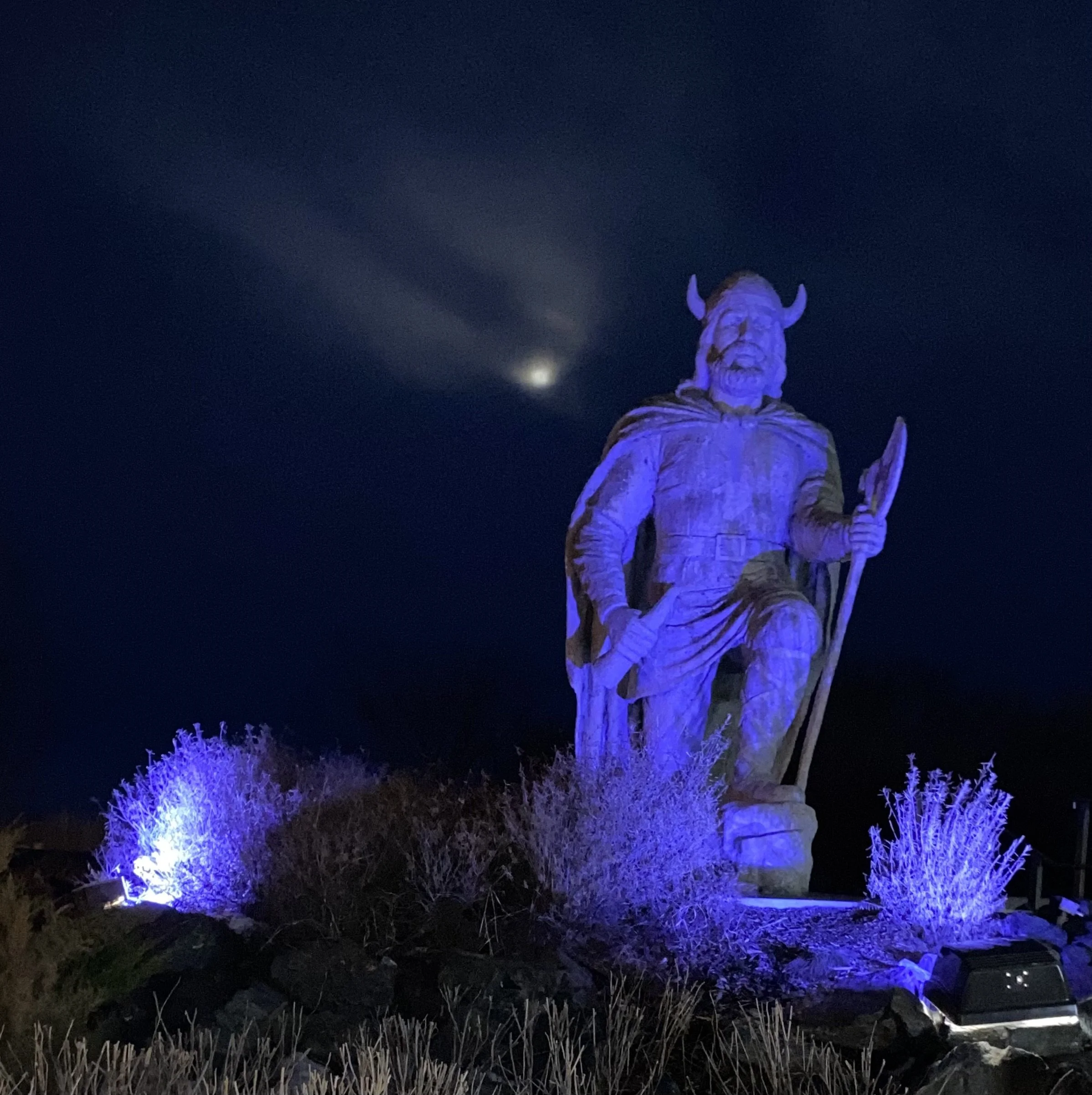 IMG 9699 2025-04-11.jpeg