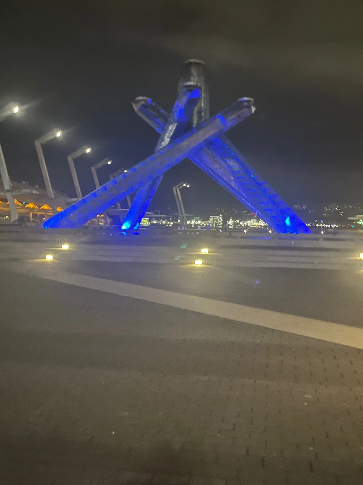 Vancouver Olympic Torch