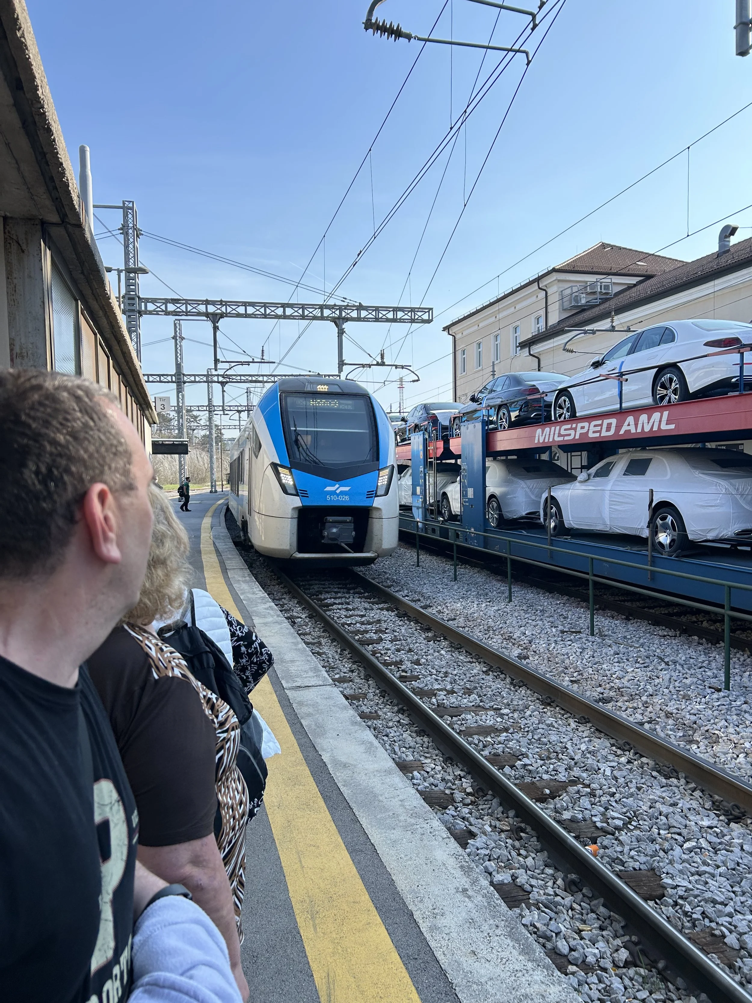 IMG 1745 2025-04-05.jpeg