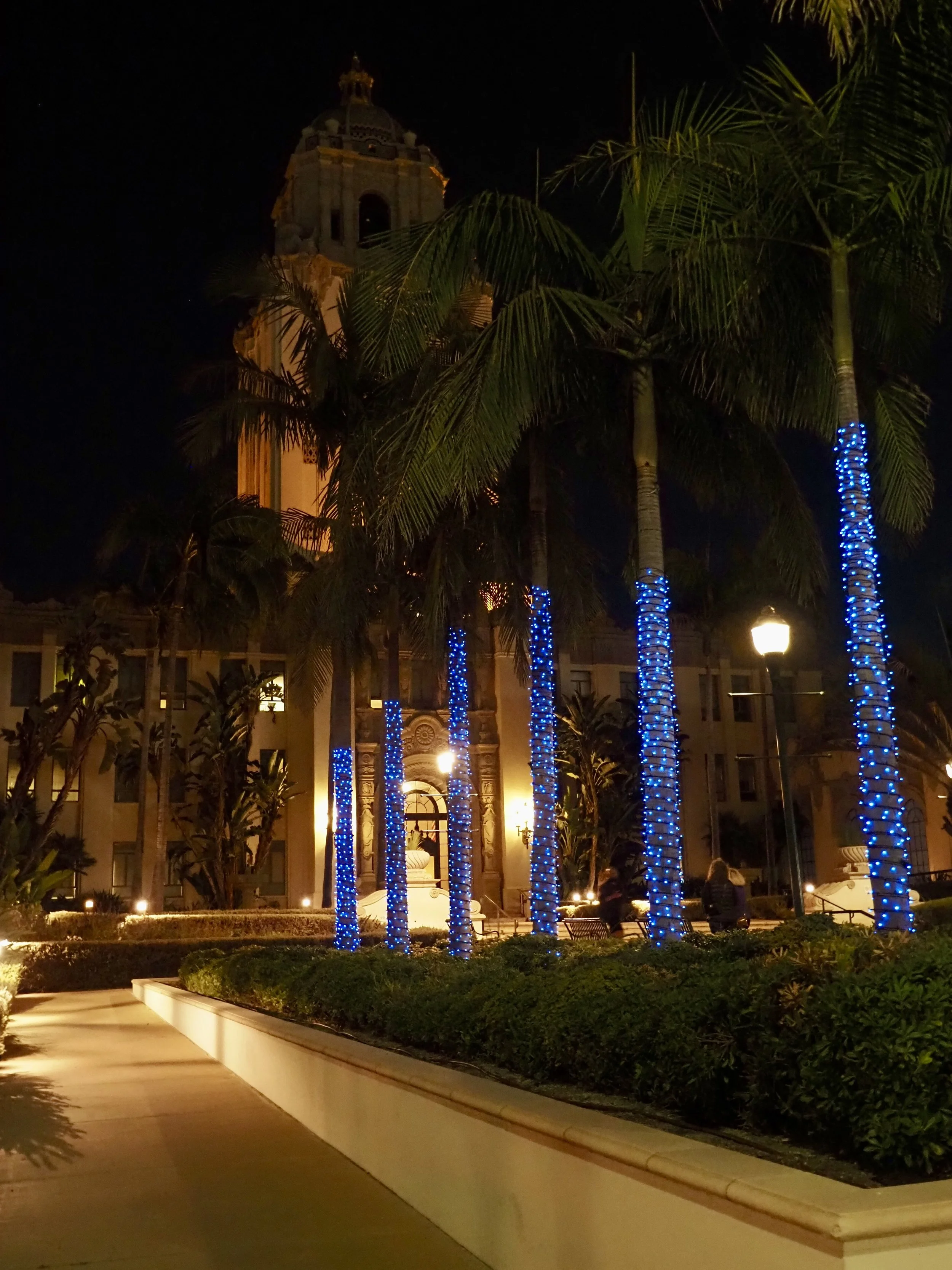 P4110269 2026-04-11.jpeg