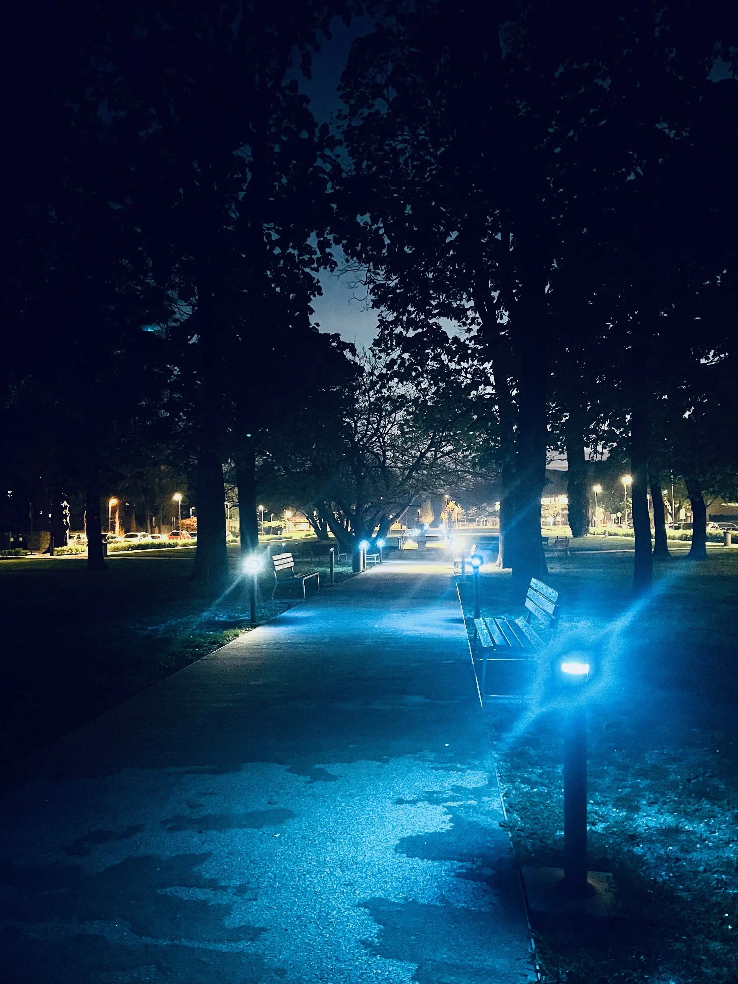 SLOVENIA Vipava Parc.jpeg