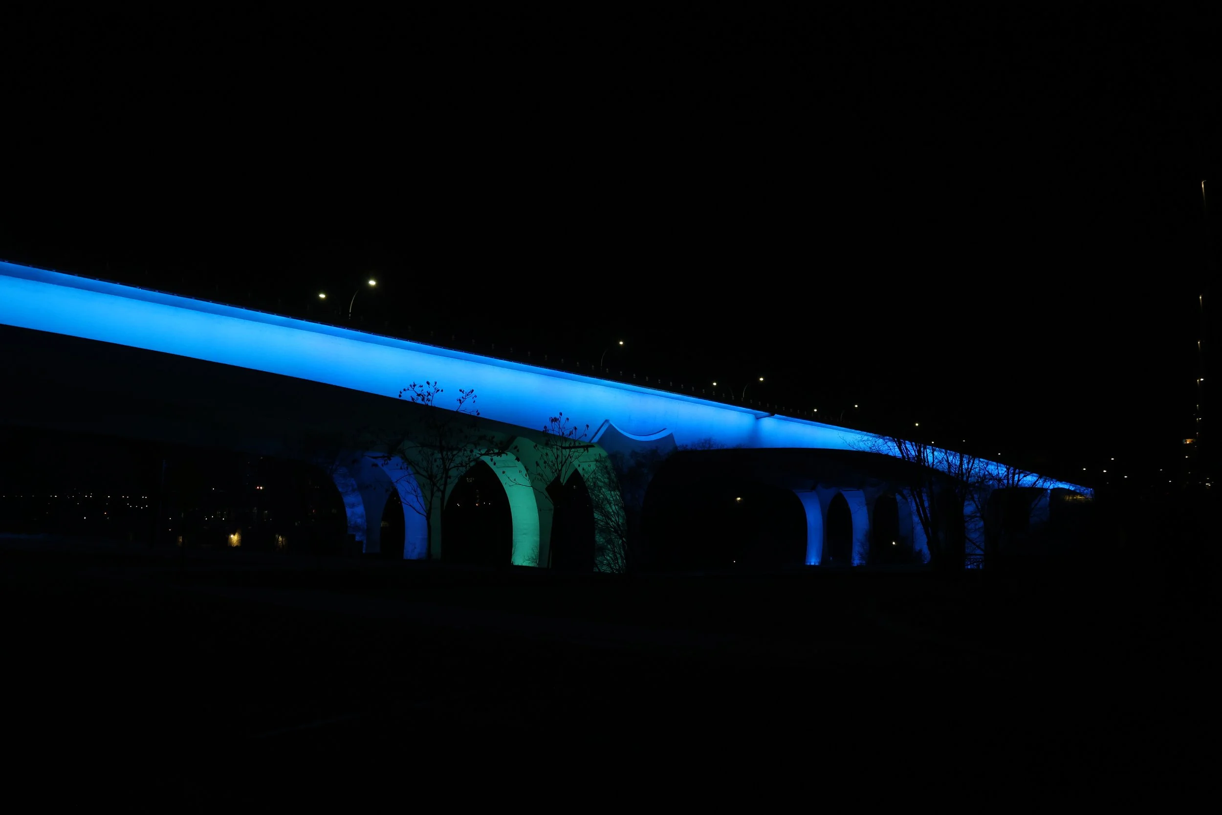 BTF_425037.JPG