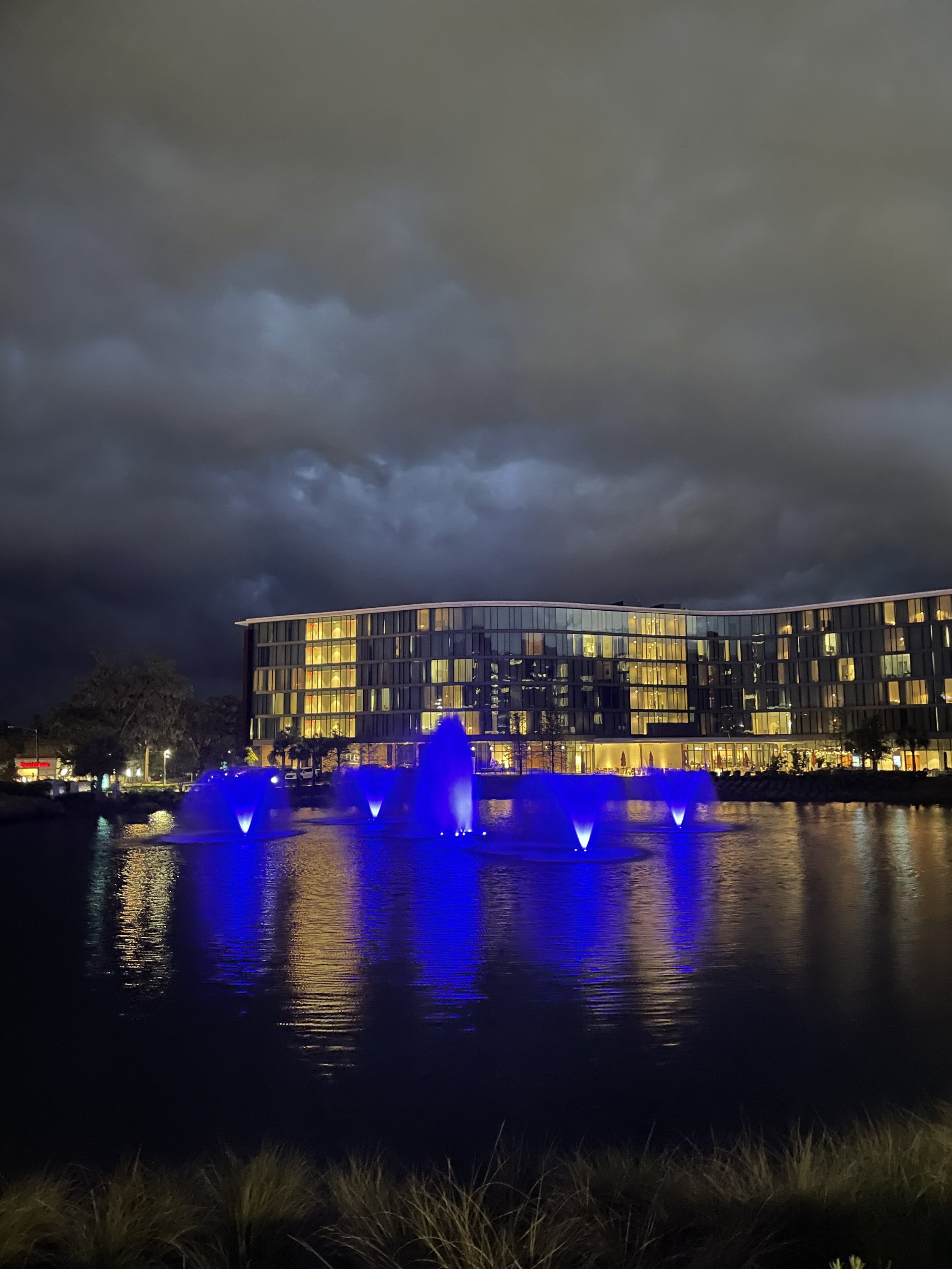 USA-FL-Gainesville-Norman-Fixel-Institute-2026-01 Carolyn Wilson.jpeg