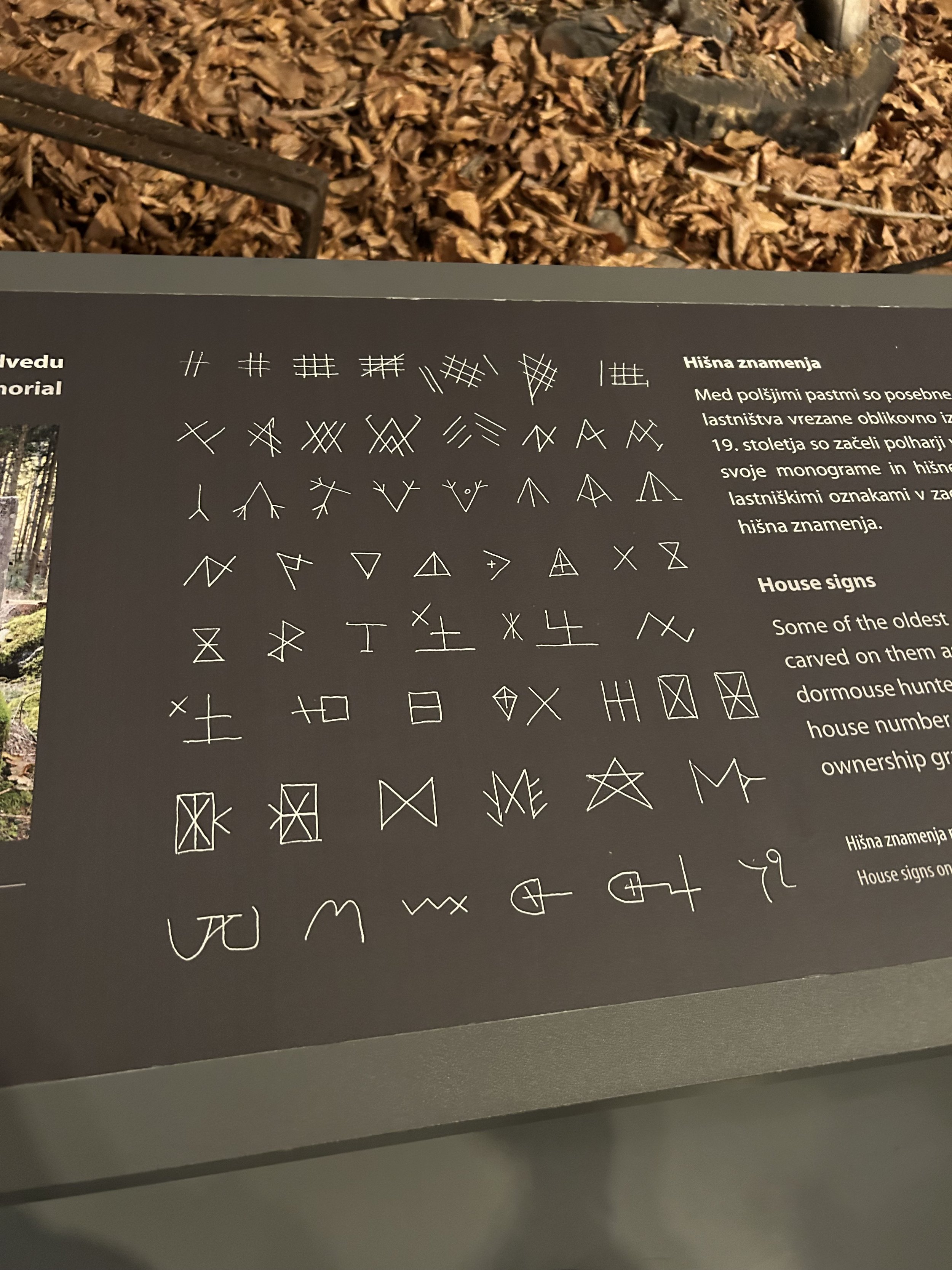 IMG 1721 2025-04-05.jpeg