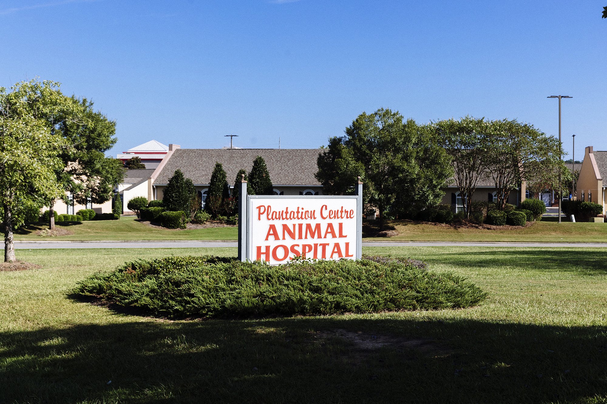 Plantation Centre Hospital, Macon, Georgia, 2023. 5X7" Archival Pigment Print