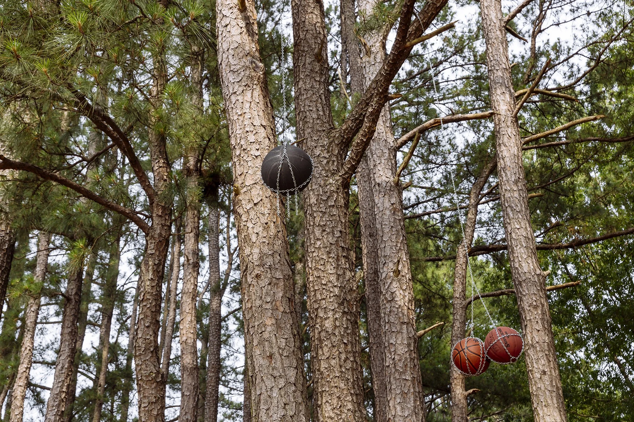 061225-FieldofDreams-InstallationPhotographs-Landscape-_4.jpg