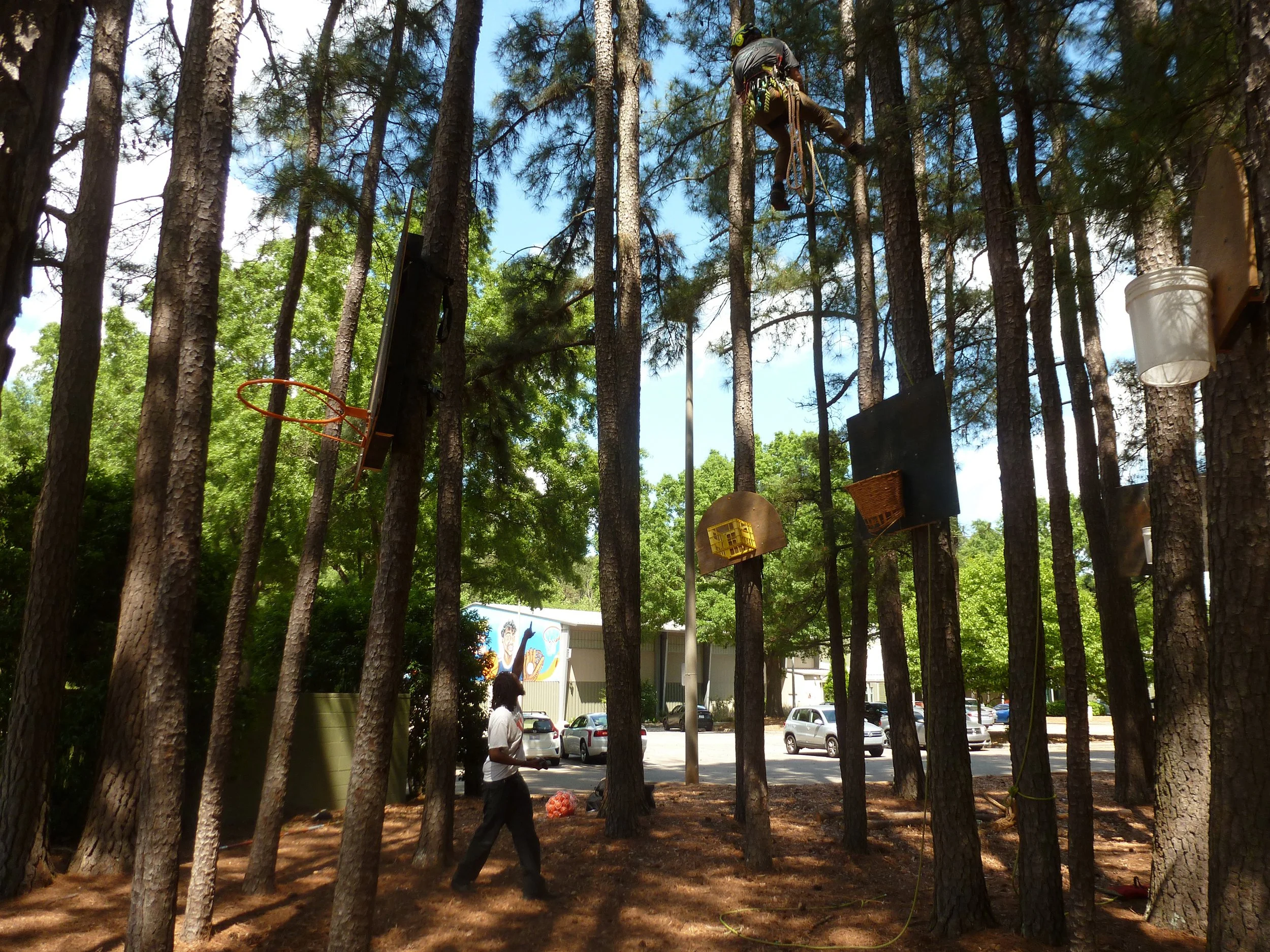 P1020520 copy.jpg