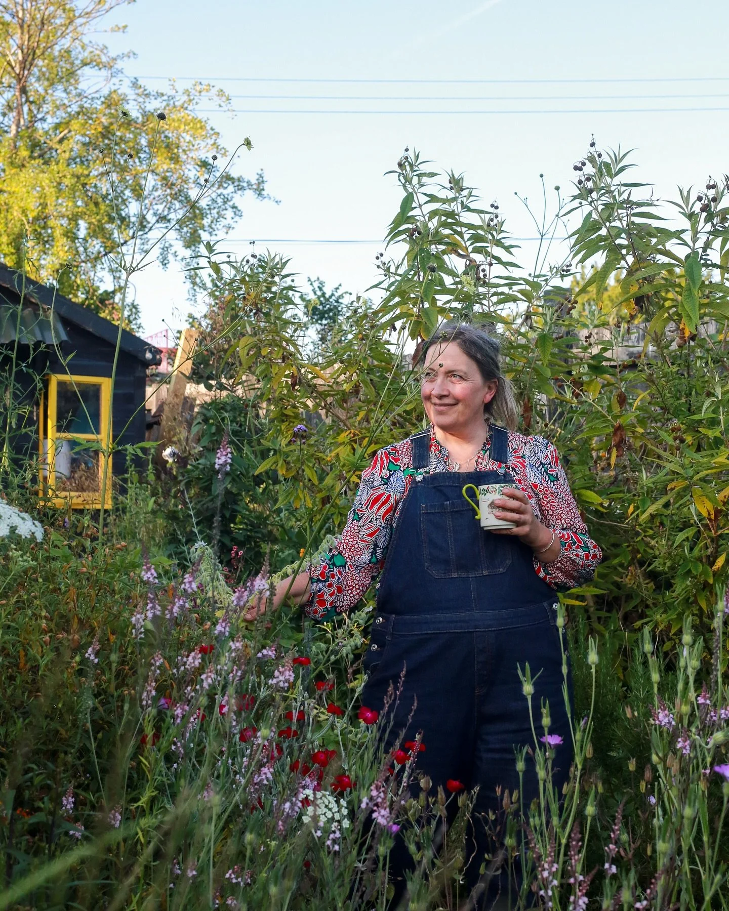 C H A T E A U  G R E E N S L A D E

So, what&rsquo;s your preferred style of gardening?
contemporary or cottage?
How about Greenslade style, I certainly fell hard for it 💚

The creative and generous gardener @claire_greenslade_ opened her gates for 
