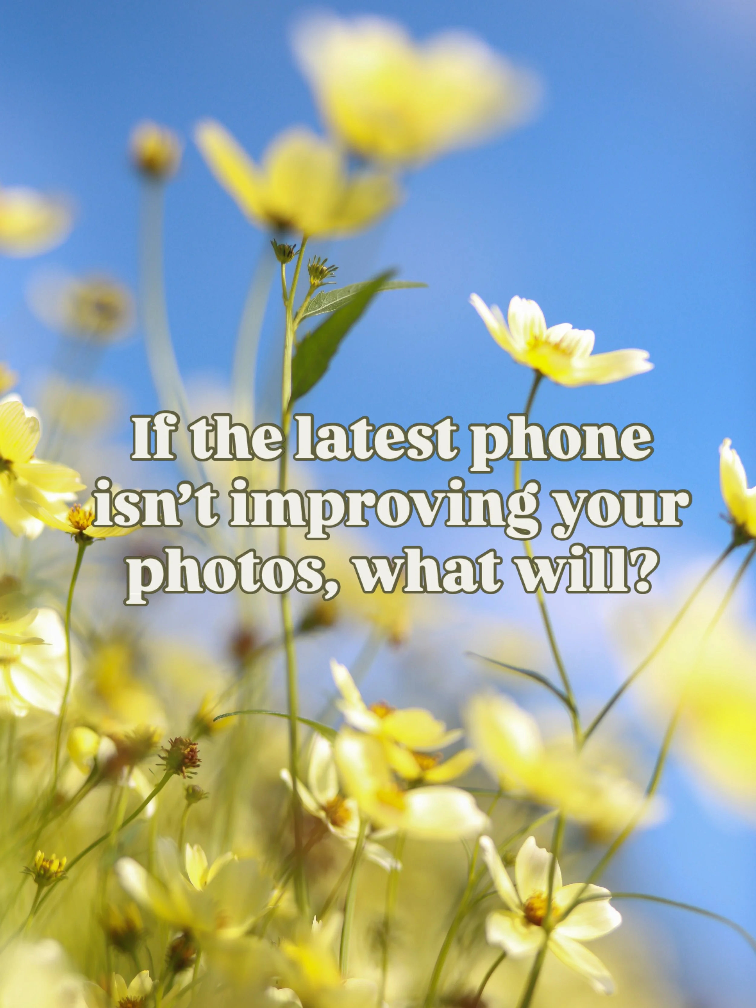 N A I L  I T

Fancy taking great photos every time you pick up your phone?

Getting great results not by luck but knowing what you do?

Be at ease when you take photos of family &amp; friends?

Then come along to the smartphone photography course at 