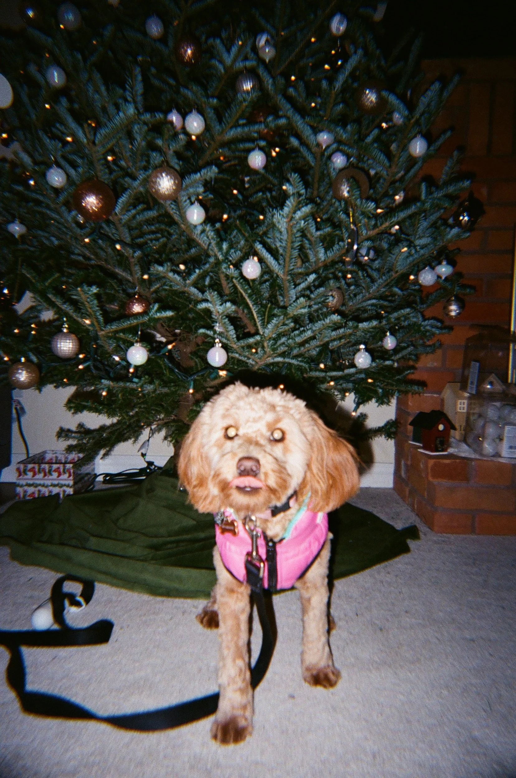 001061990021.jpg