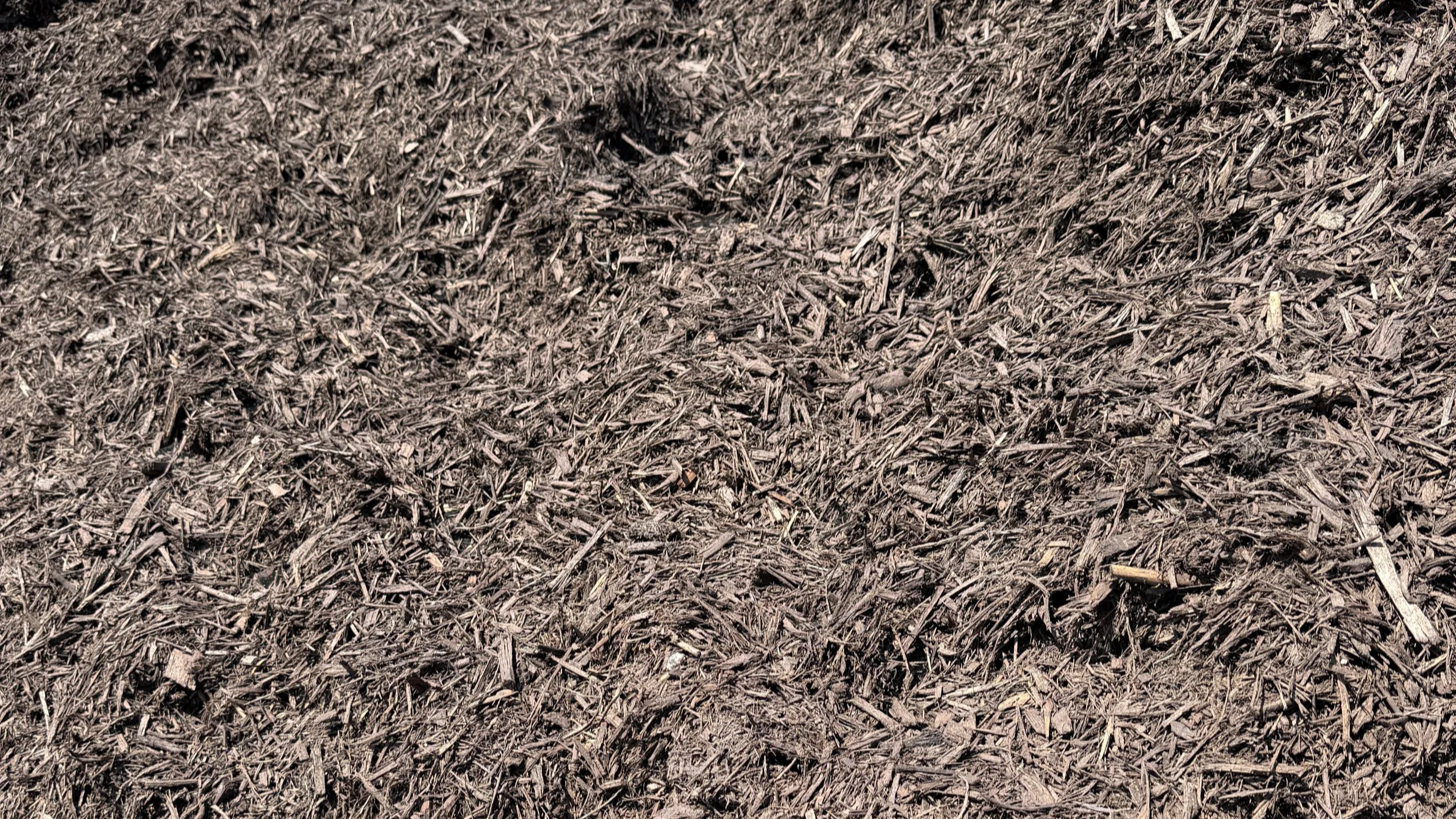 Dyed Forest Brown Mulch